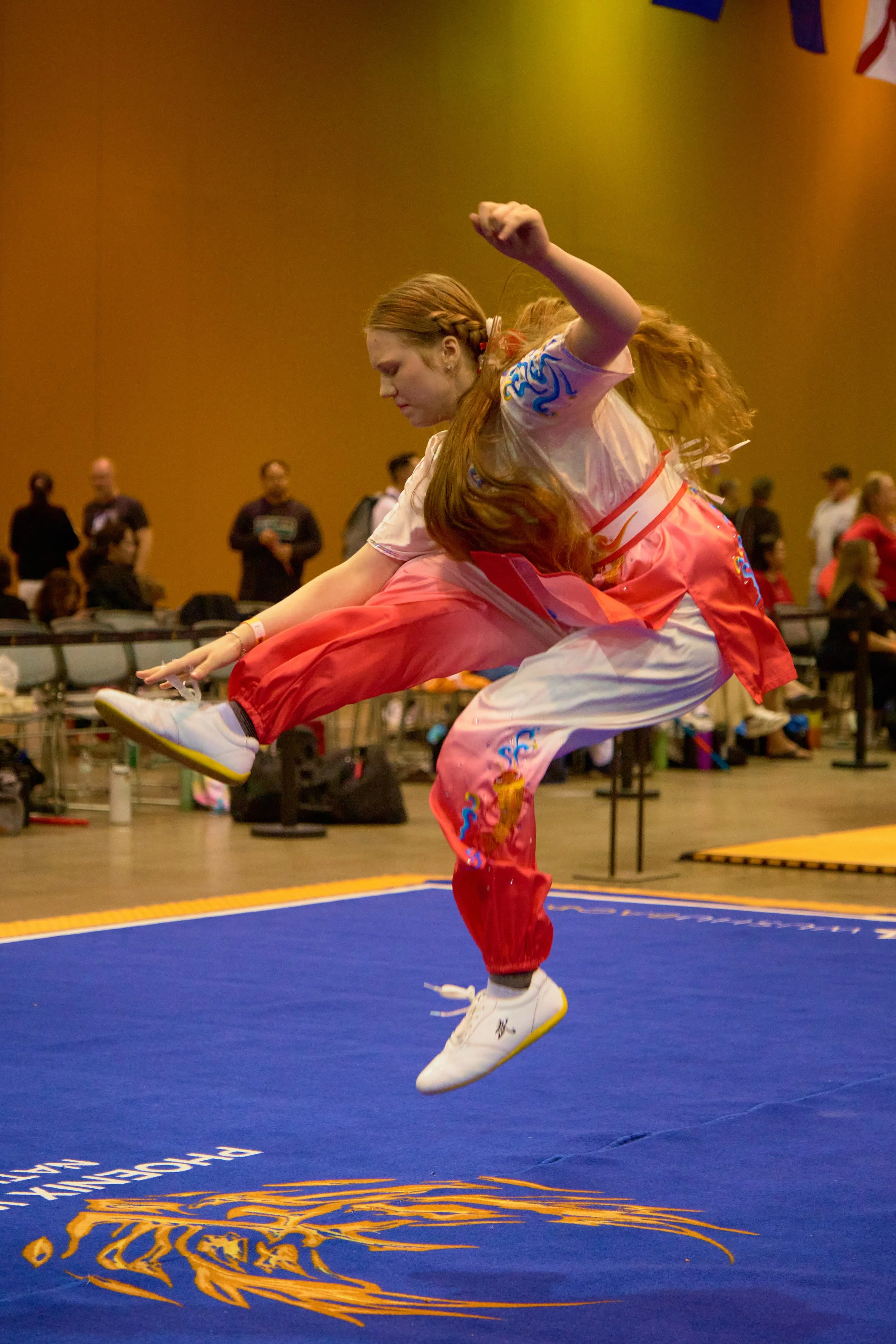 Phoenix Wushu NationalsDSCF2685.jpg