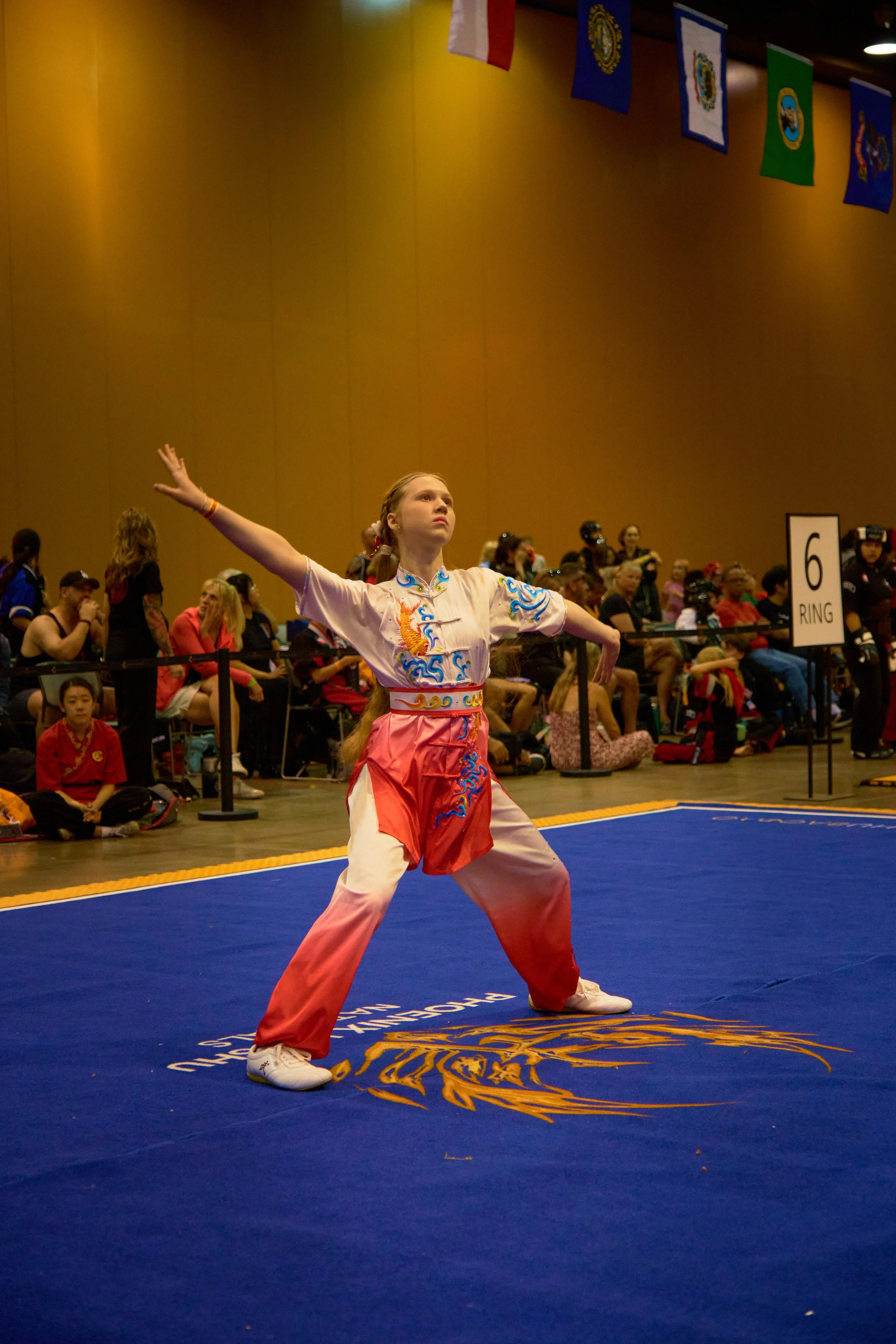 Phoenix Wushu NationalsDSCF1817.jpg