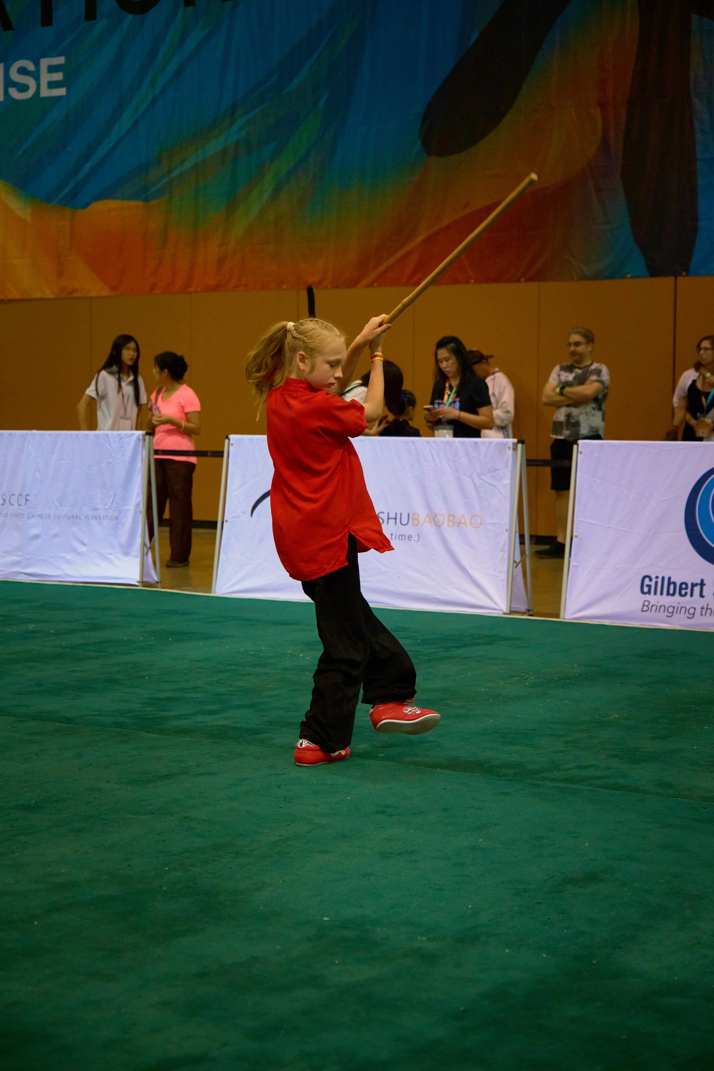 Phoenix Wushu NationalsDSCF1310.jpg
