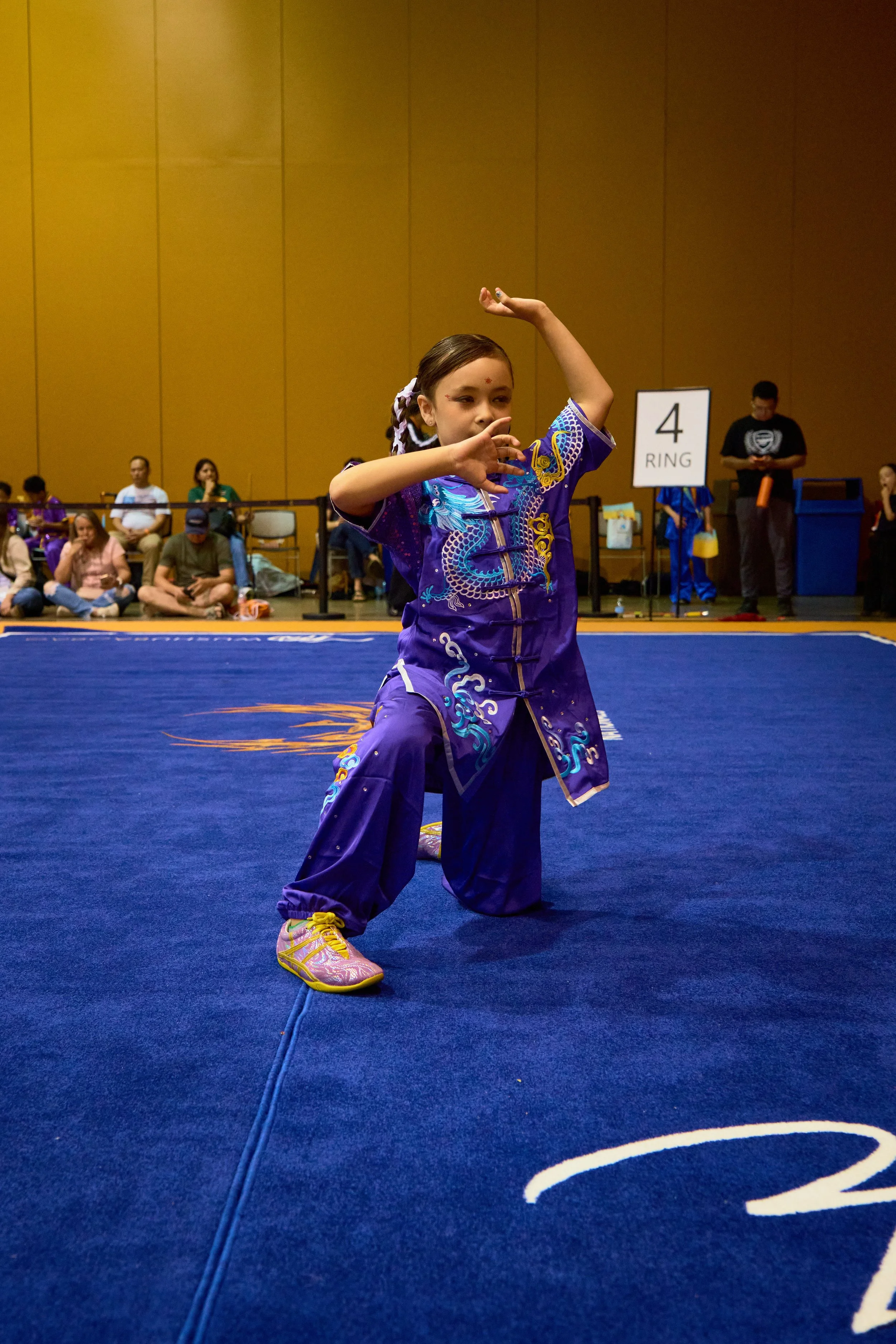 Phoenix Wushu NationalsDSCF0787.jpg