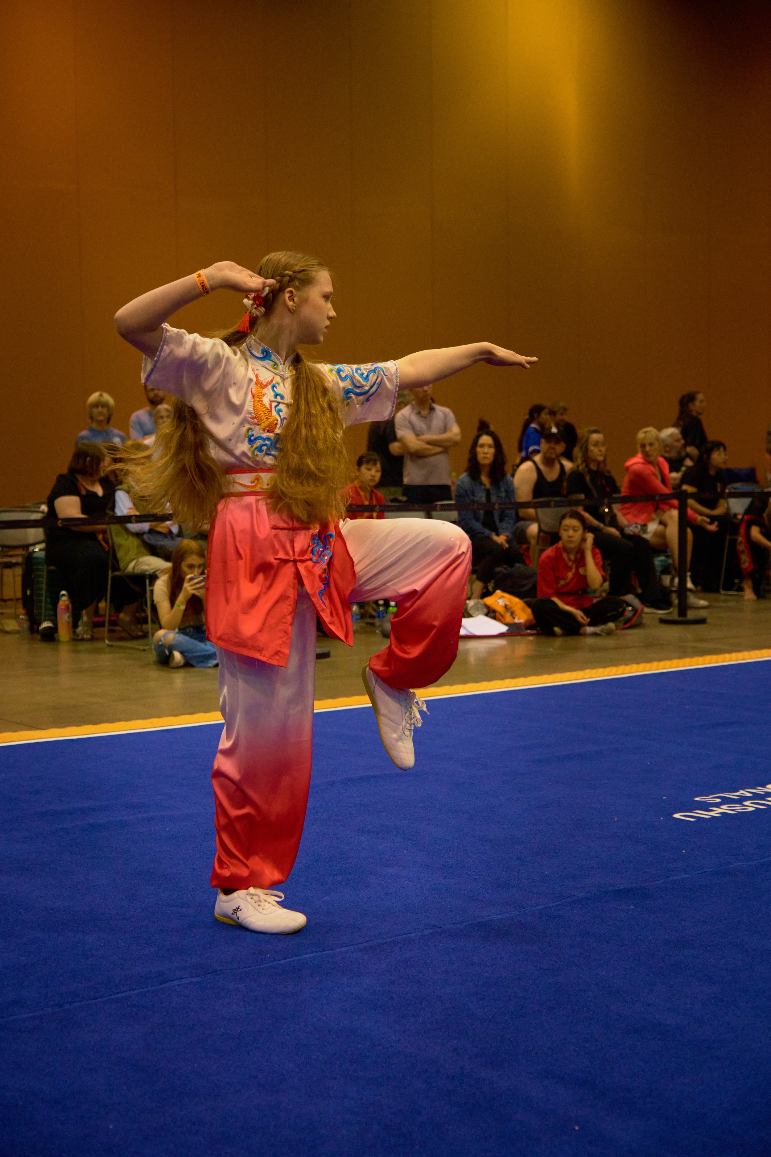 Phoenix Wushu NationalsDSCF1993_1.jpg
