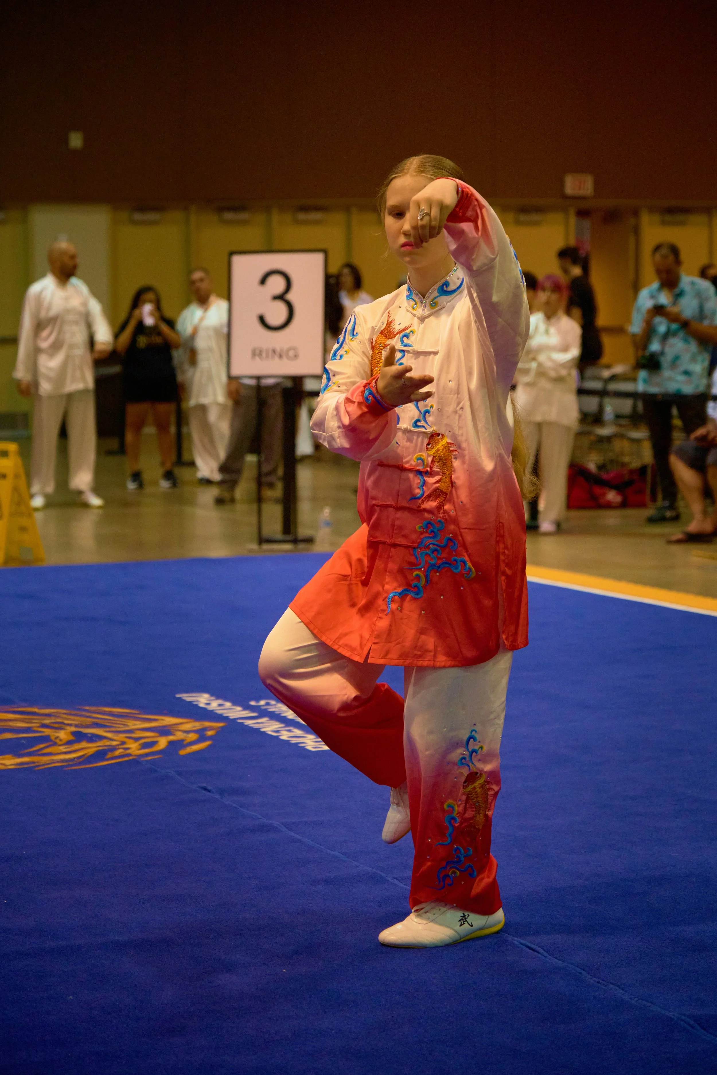 Phoenix Wushu NationalsDSCF3728.jpg