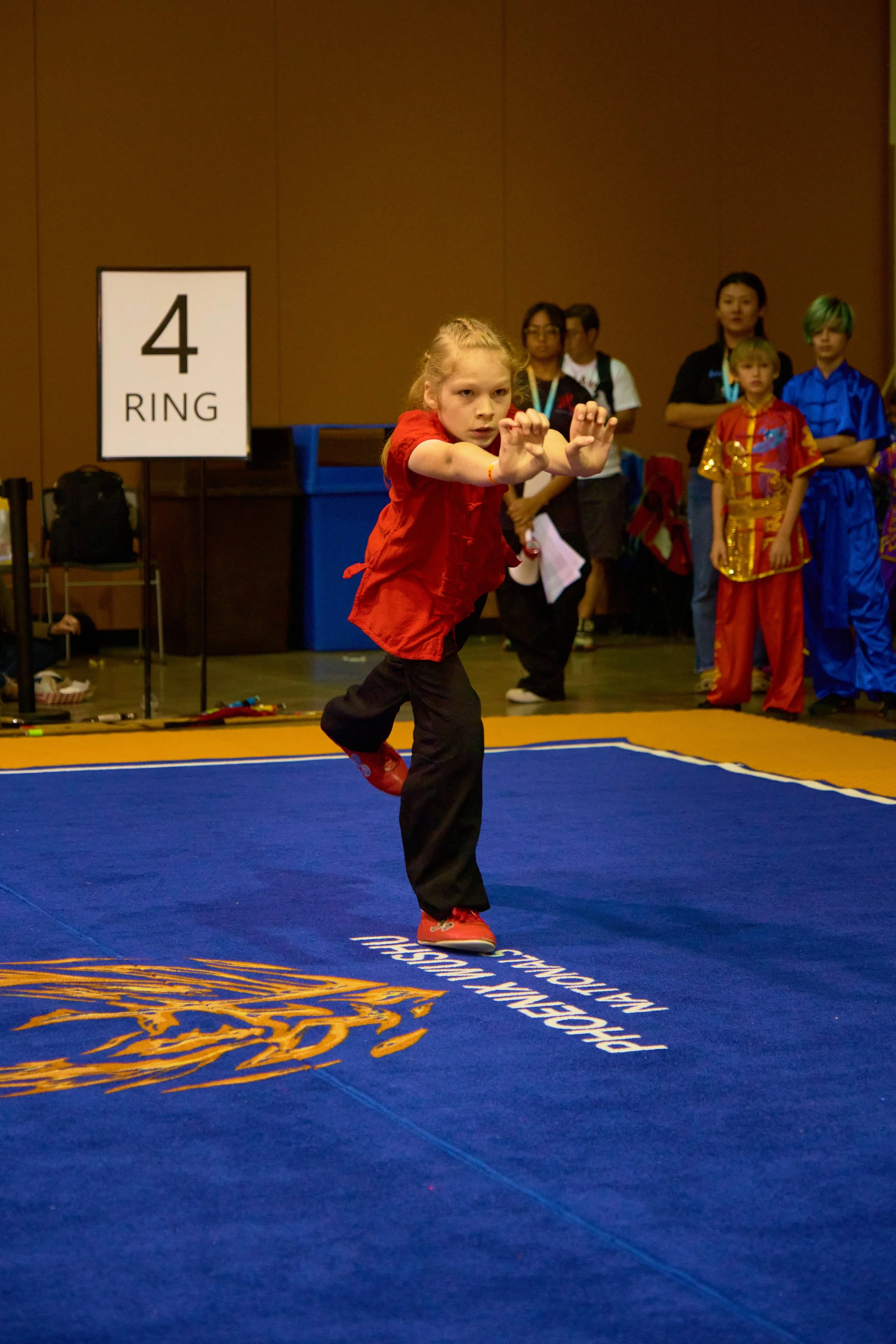 Phoenix Wushu NationalsDSCF1660.jpg