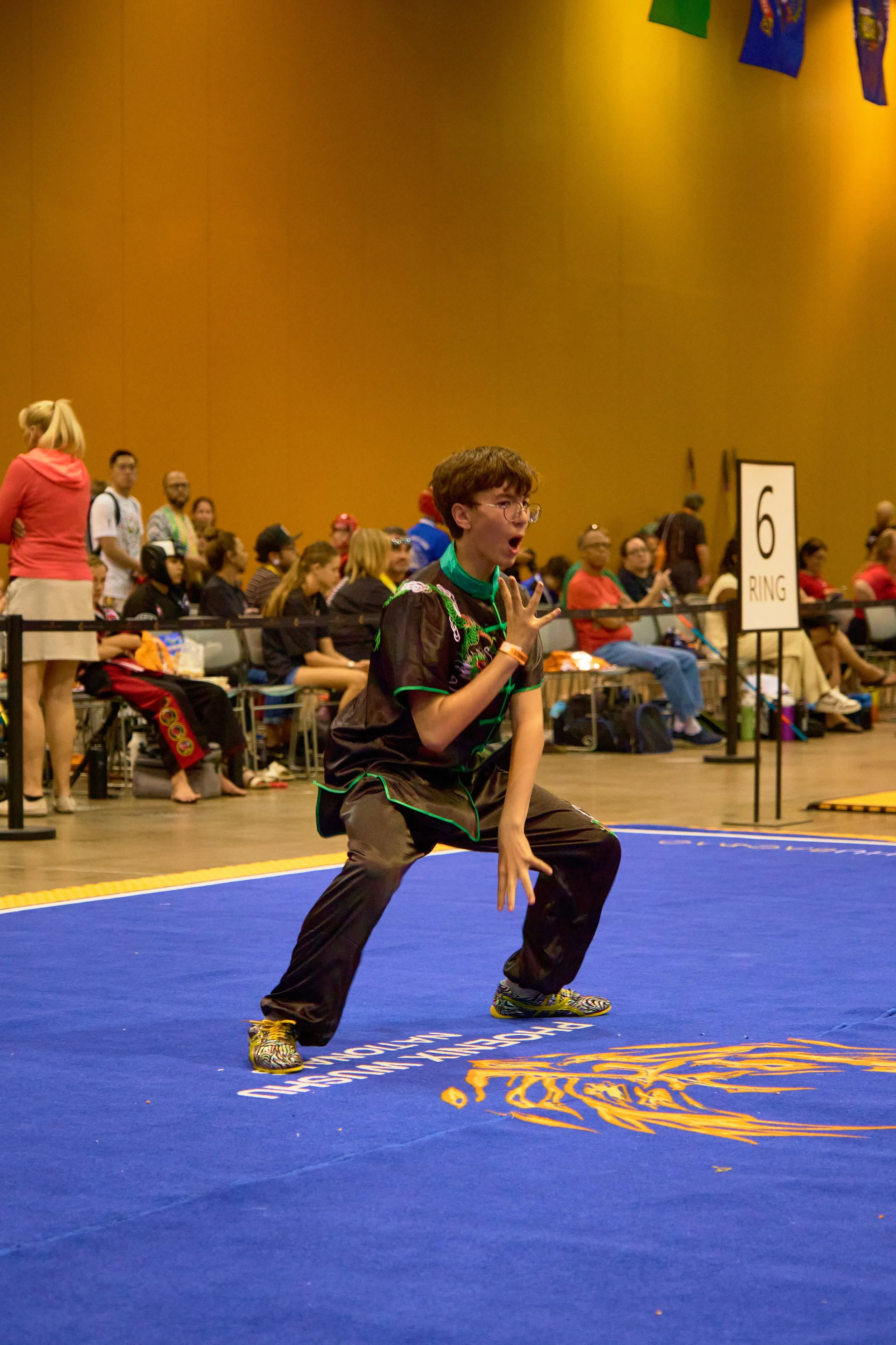 Phoenix Wushu NationalsDSCF2616.jpg