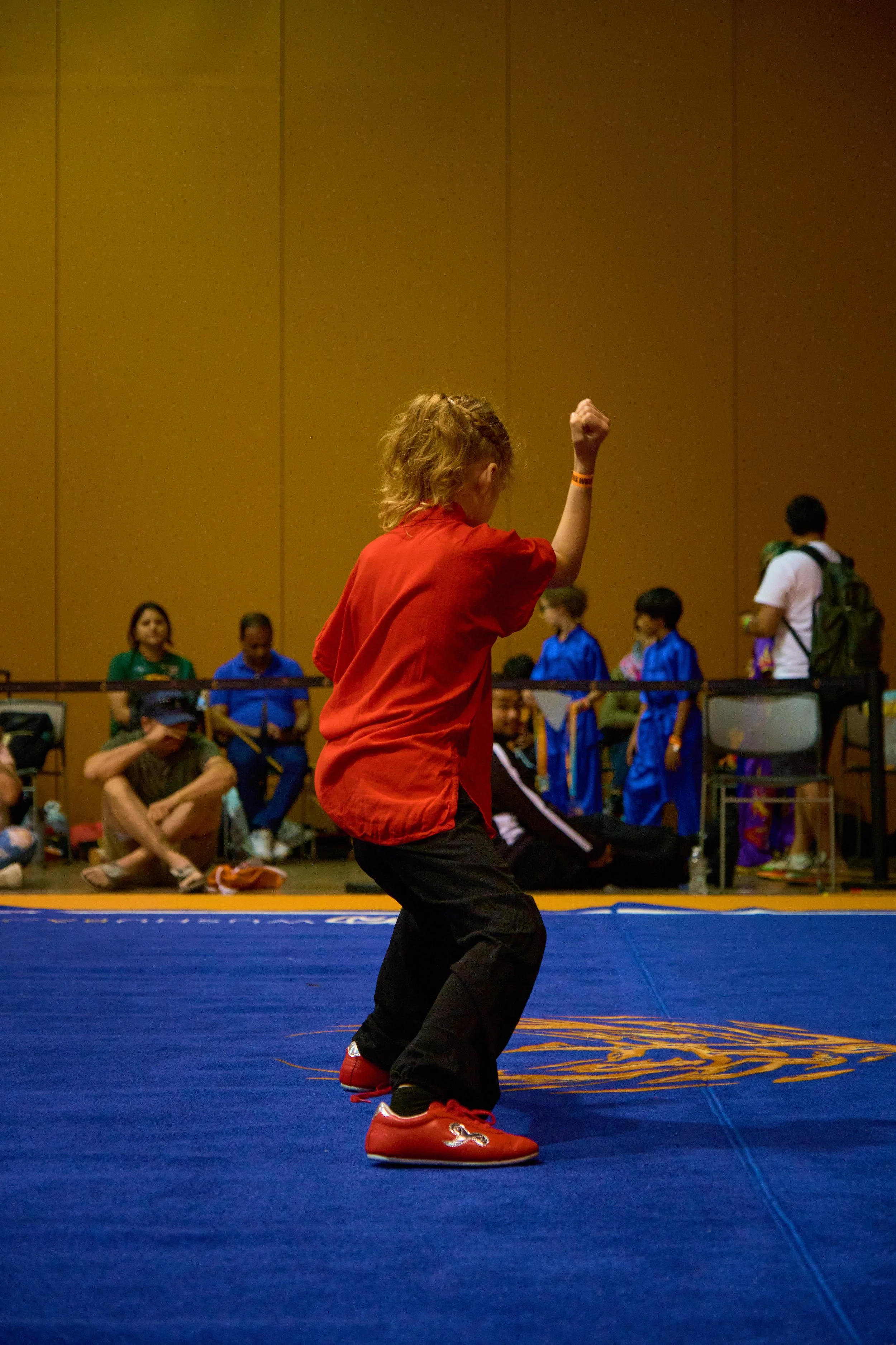 Phoenix Wushu NationalsDSCF0996.jpg