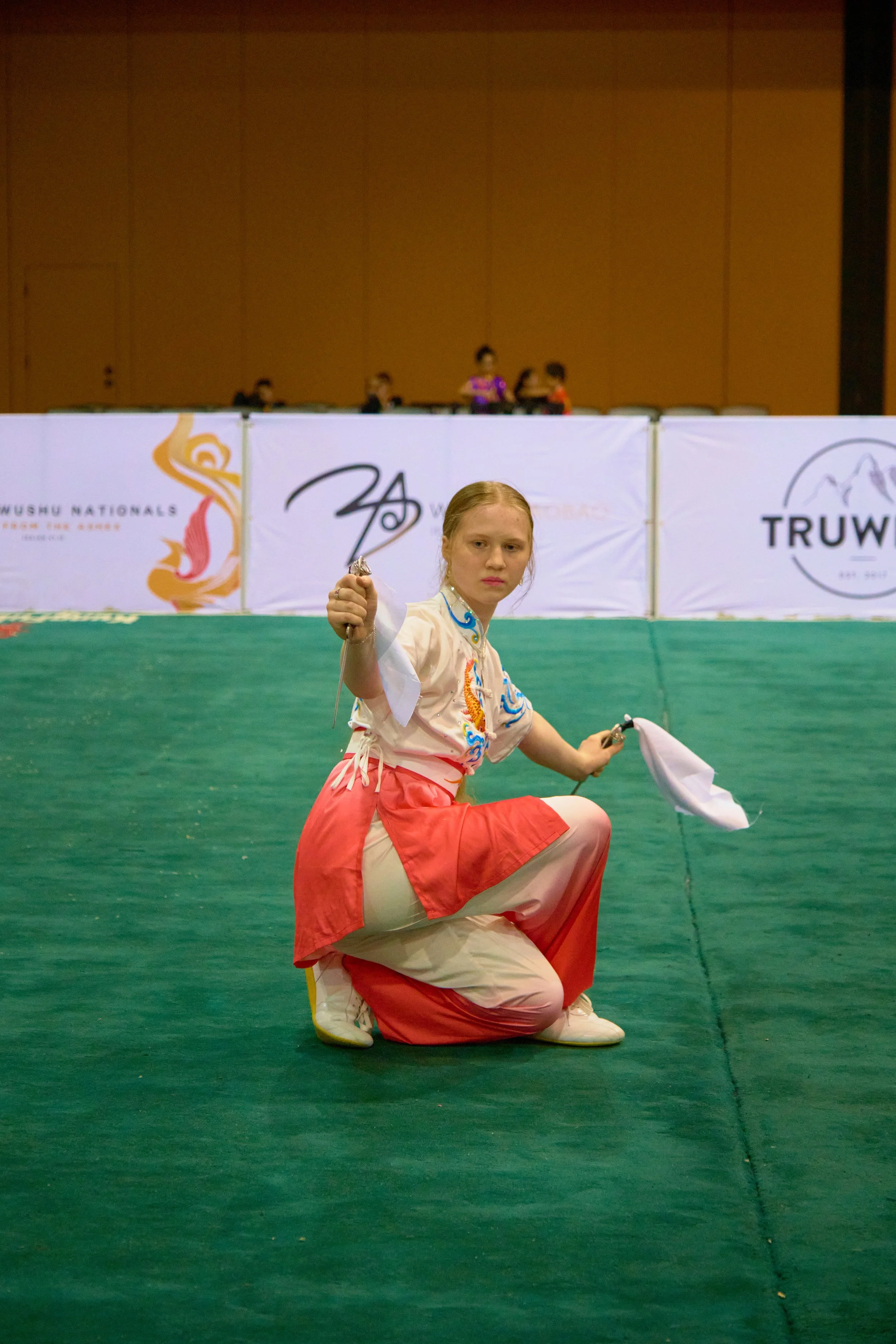 Phoenix Wushu NationalsDSCF5488.jpg
