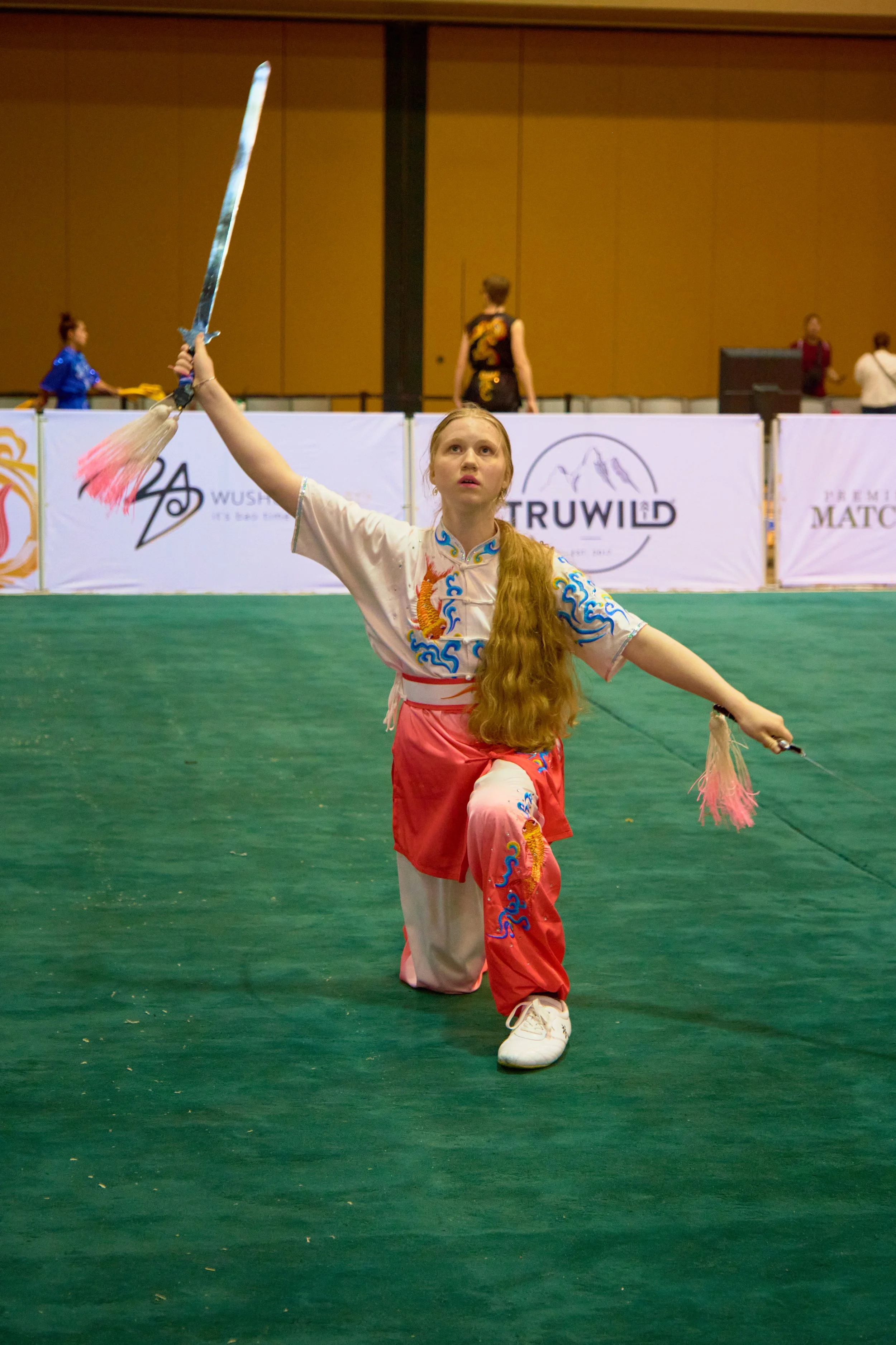 Phoenix Wushu NationalsDSCF4734.jpg