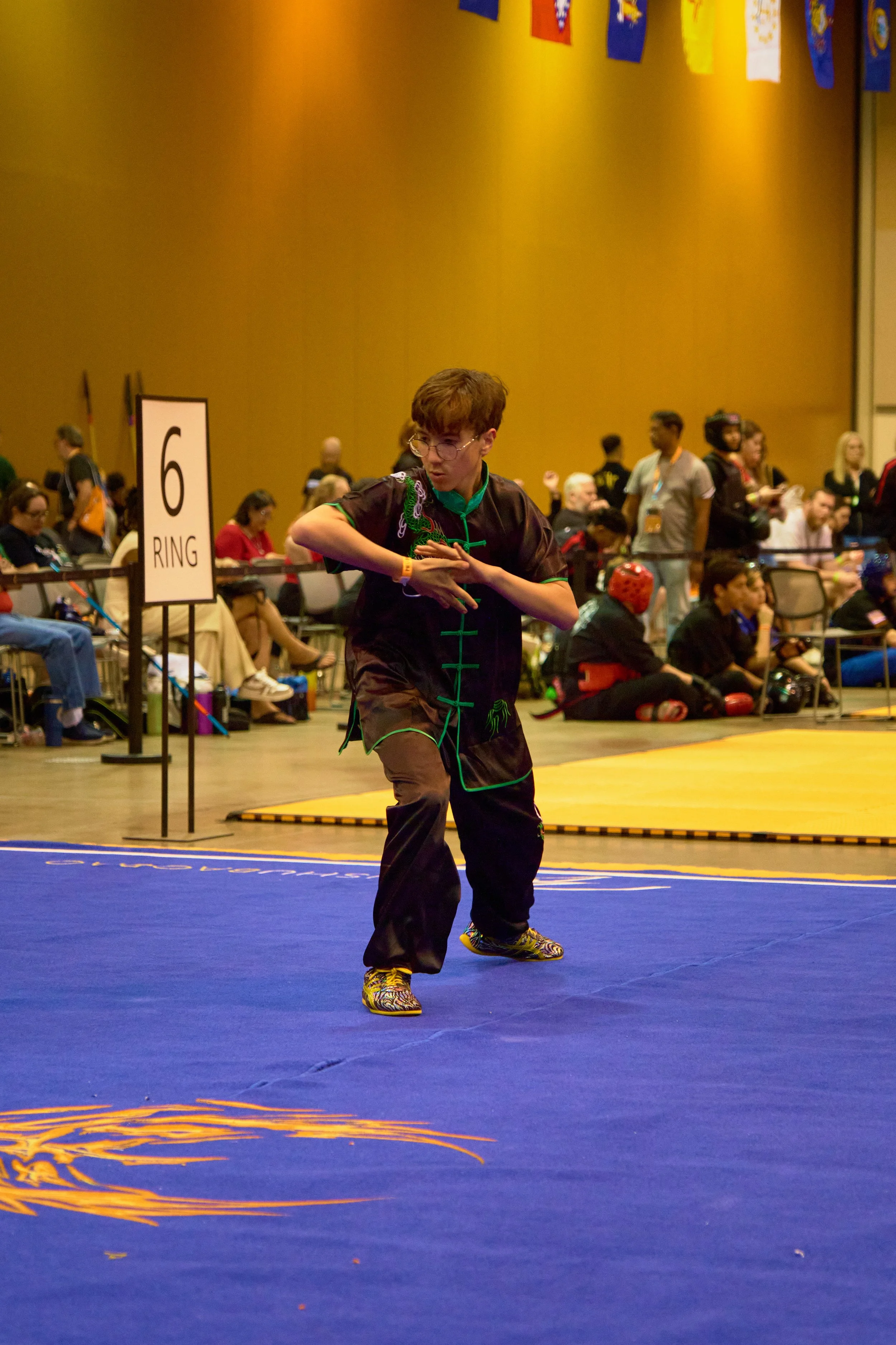 Phoenix Wushu NationalsDSCF2595.jpg