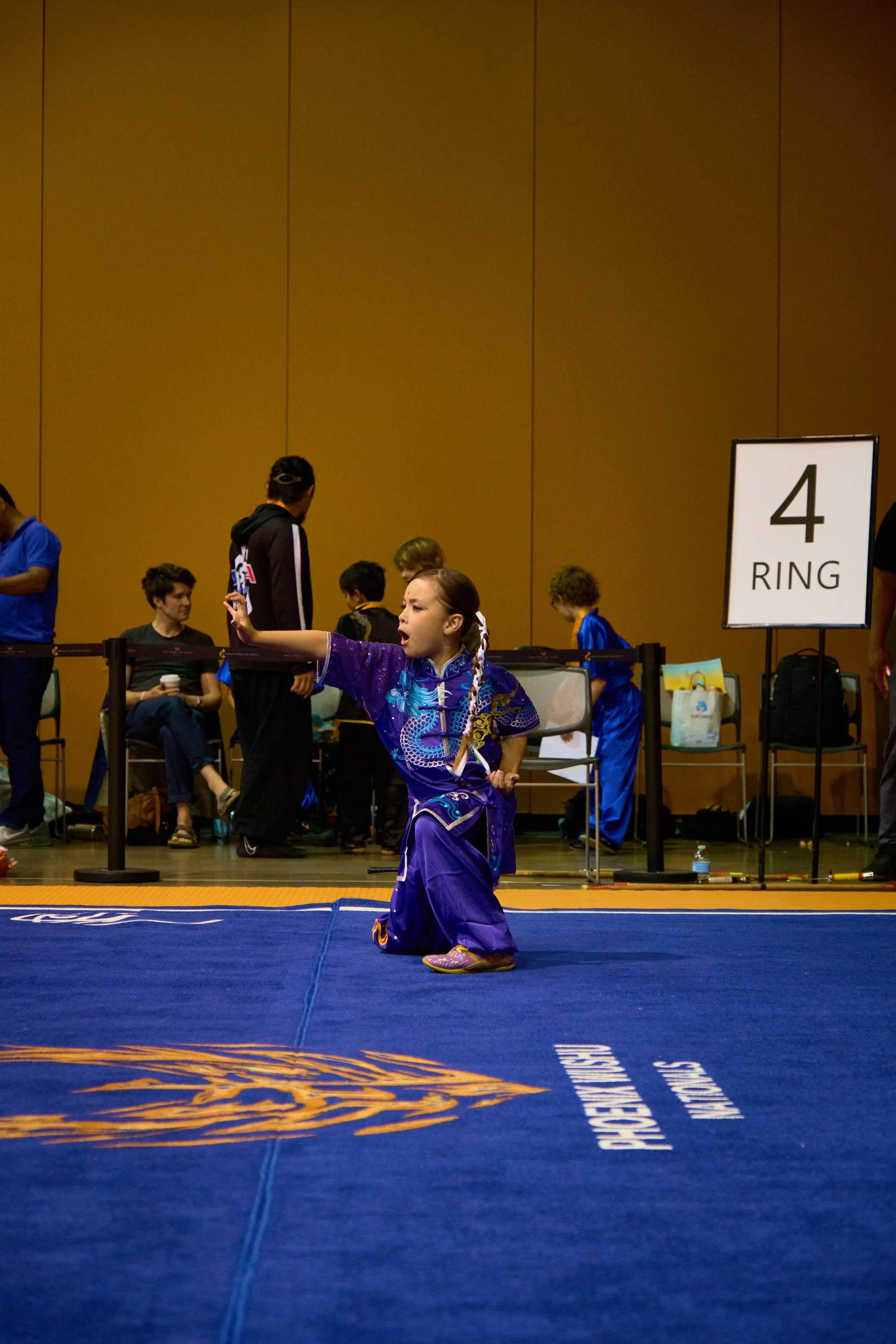 Phoenix Wushu NationalsDSCF0809.jpg