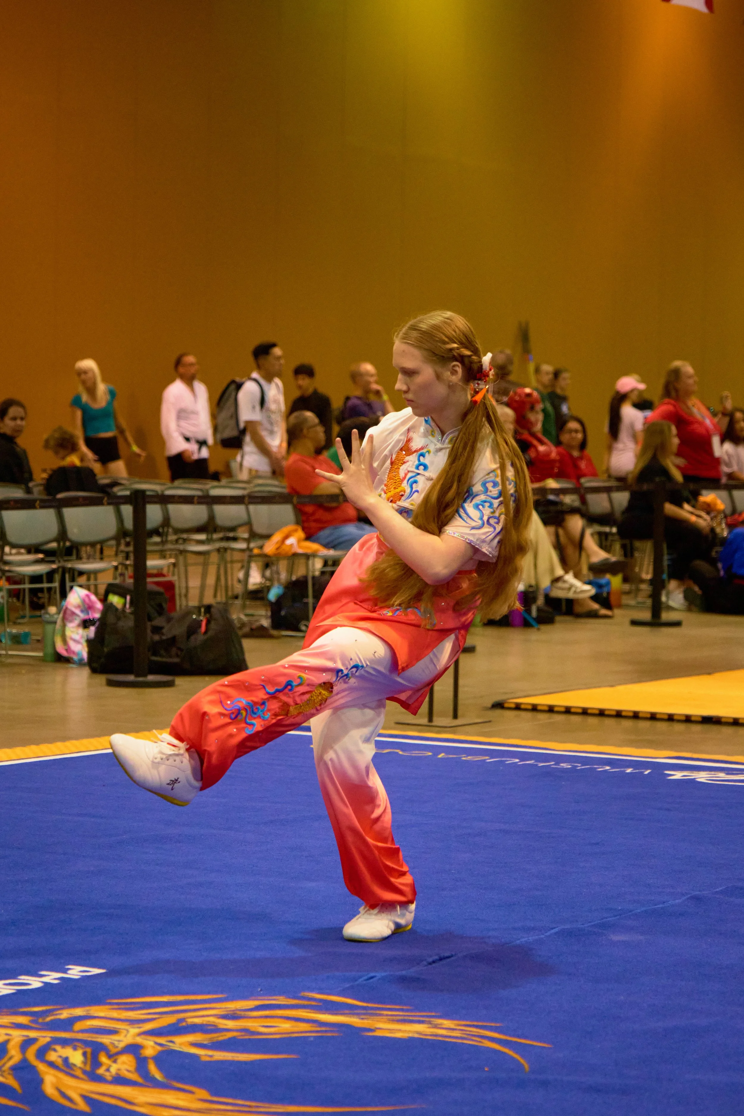 Phoenix Wushu NationalsDSCF2647.jpg