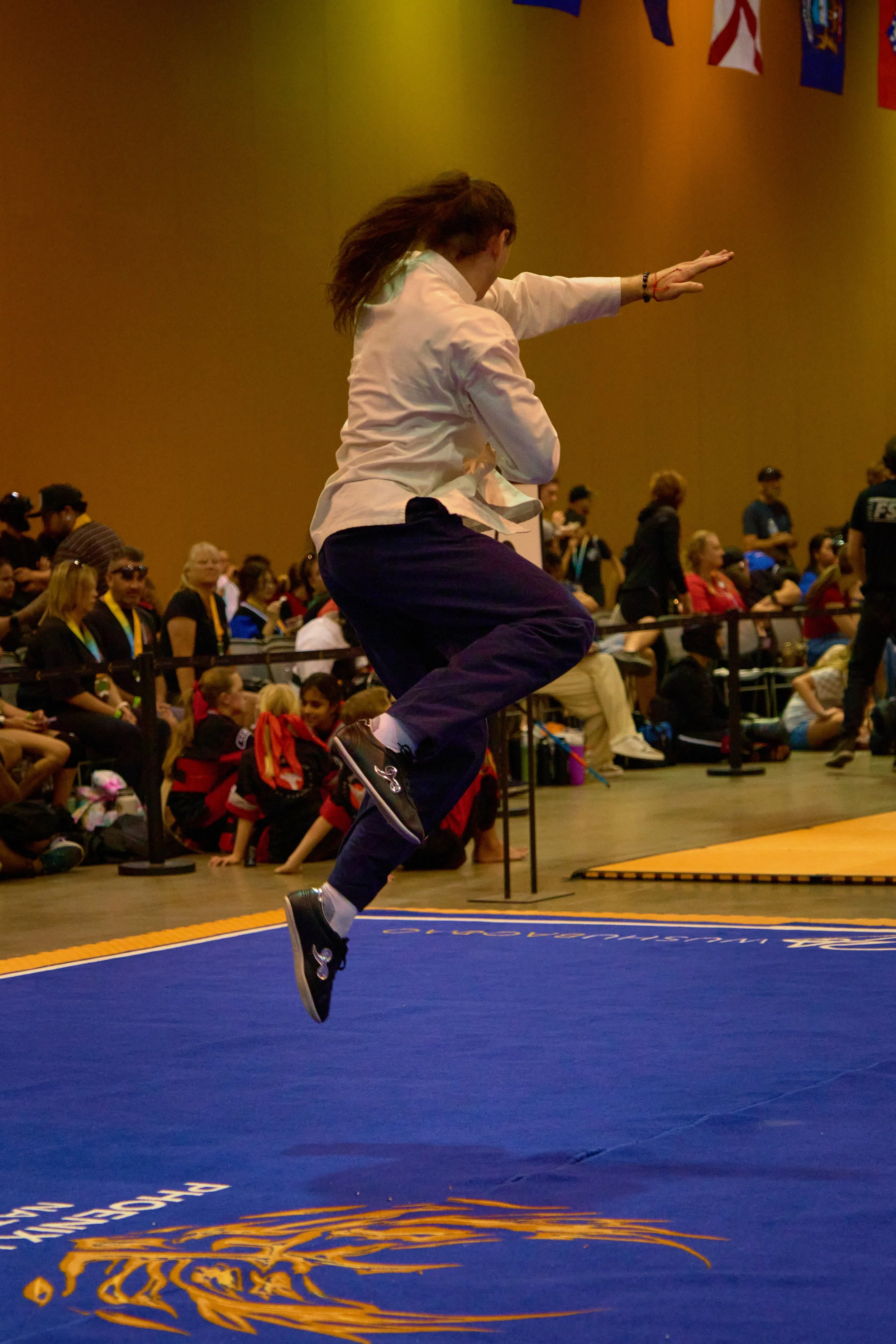 Phoenix Wushu NationalsDSCF2328.jpg
