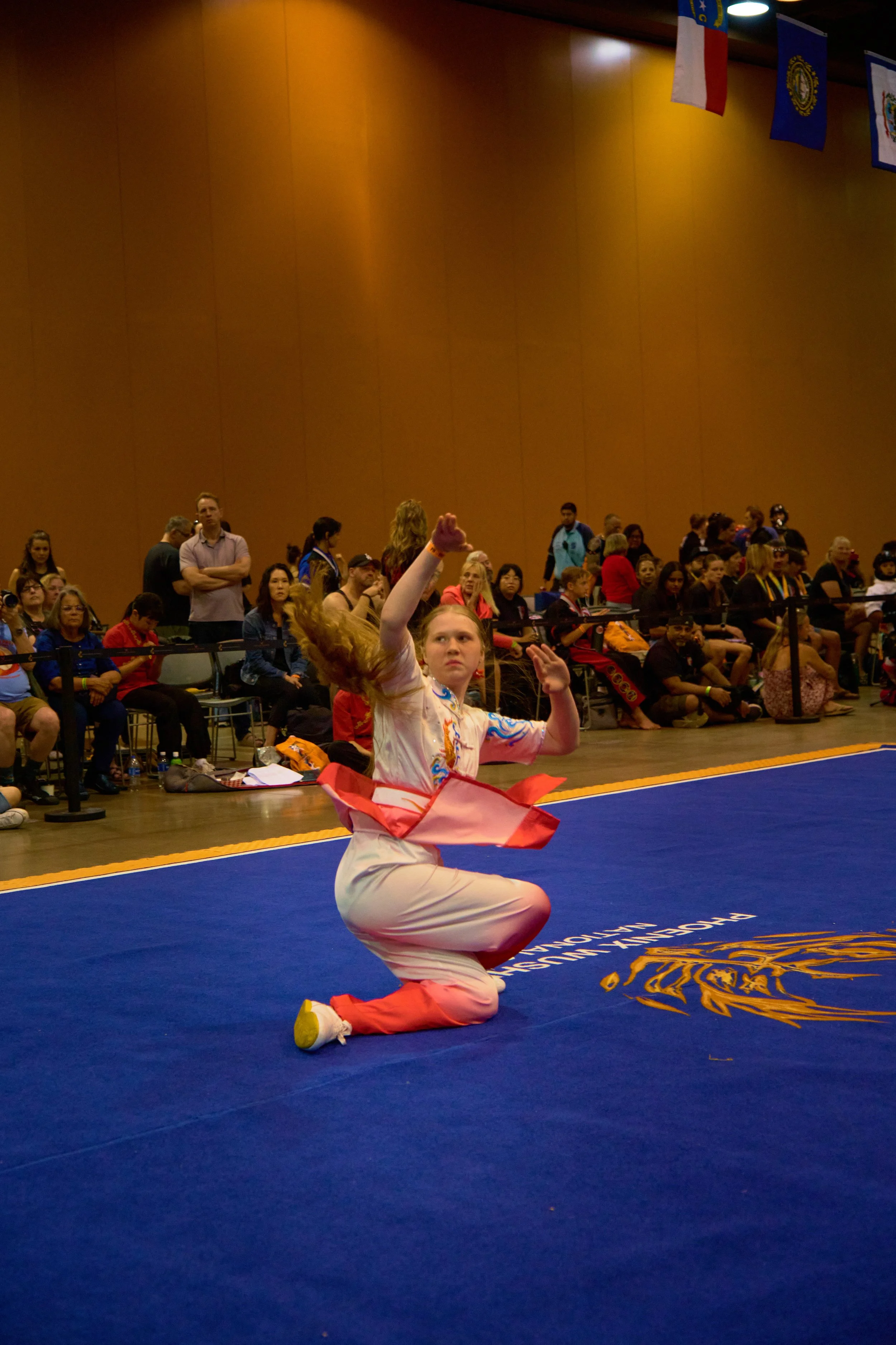 Phoenix Wushu NationalsDSCF1874.jpg