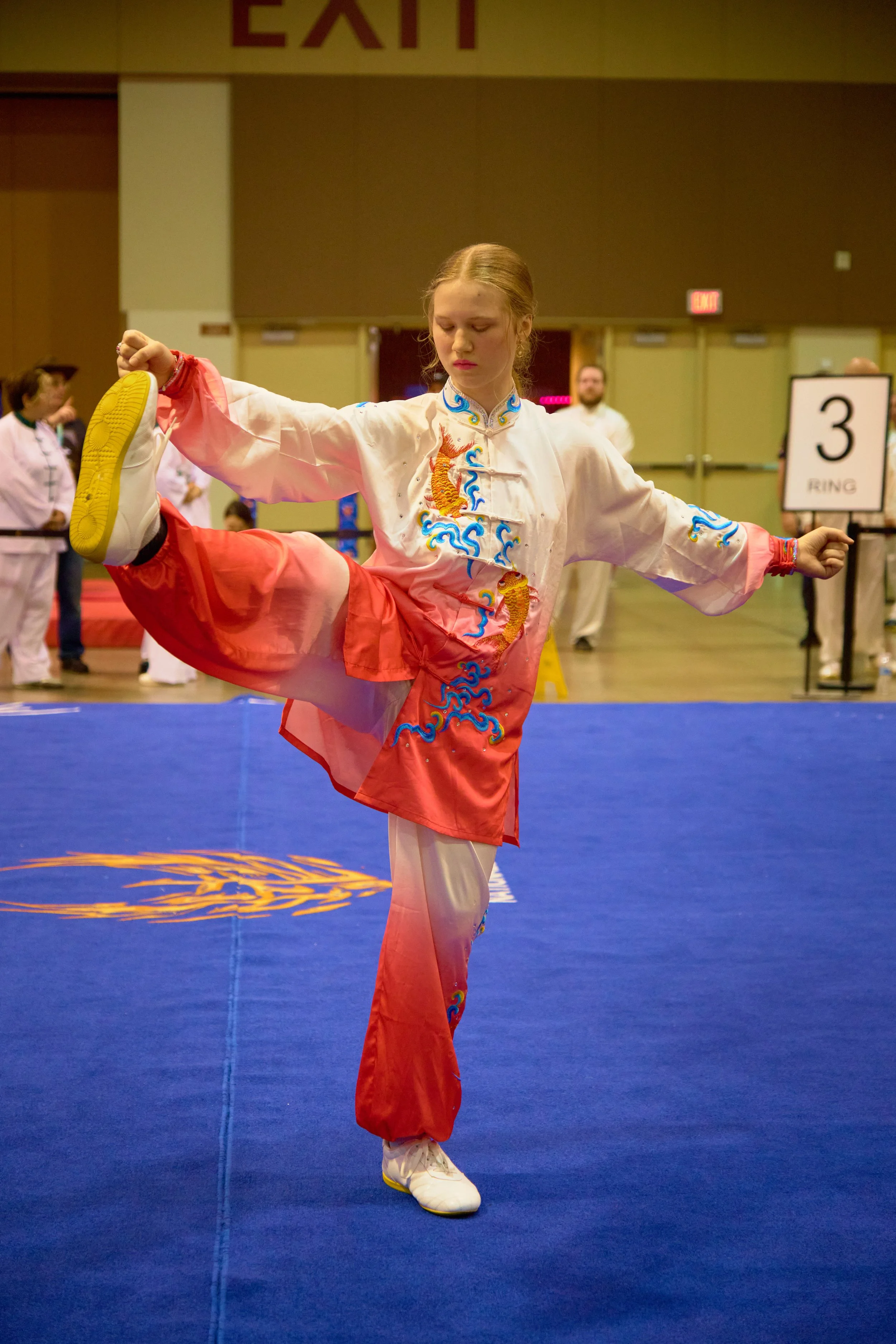 Phoenix Wushu NationalsDSCF3809.jpg