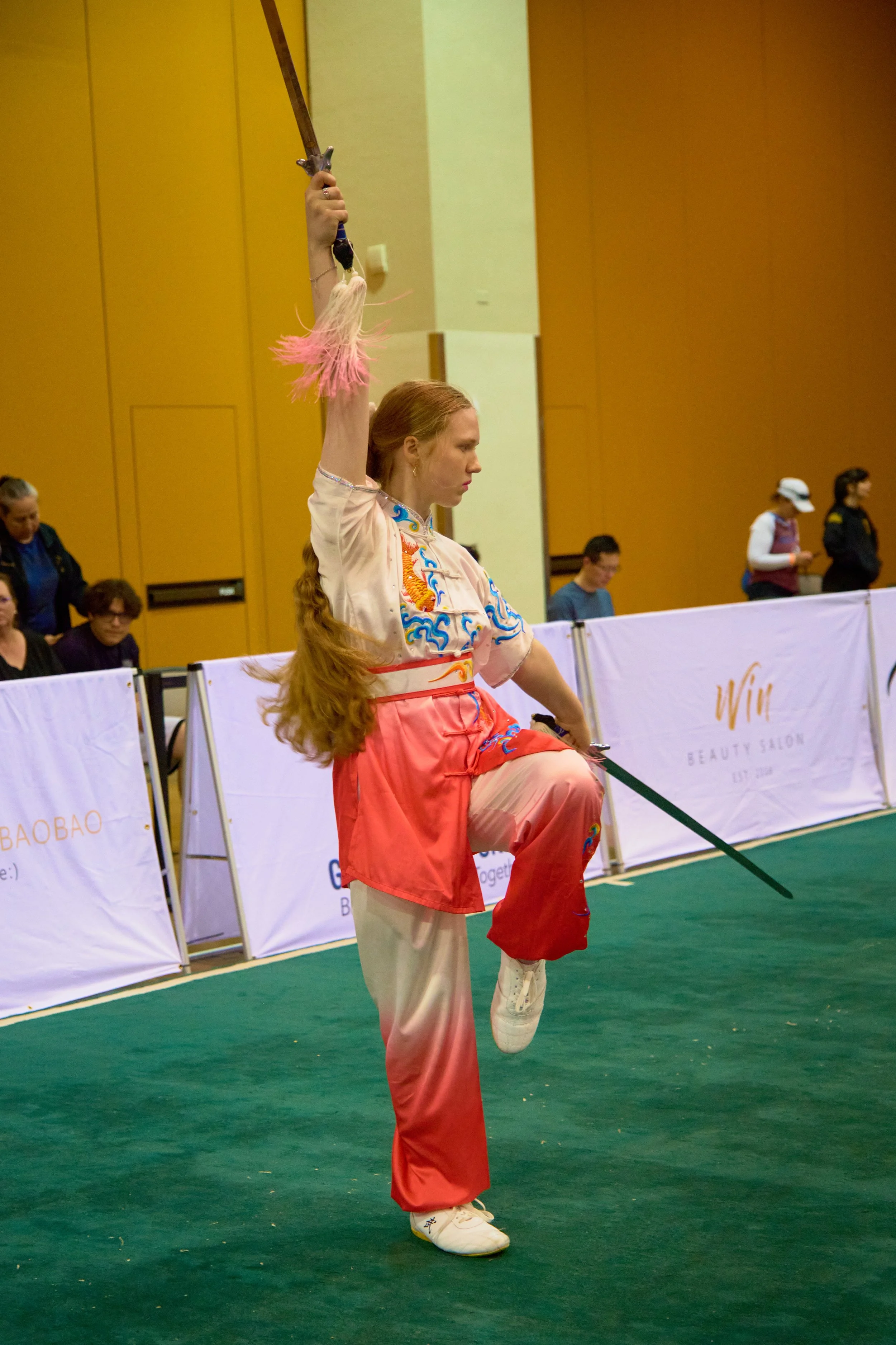 Phoenix Wushu NationalsDSCF4604.jpg