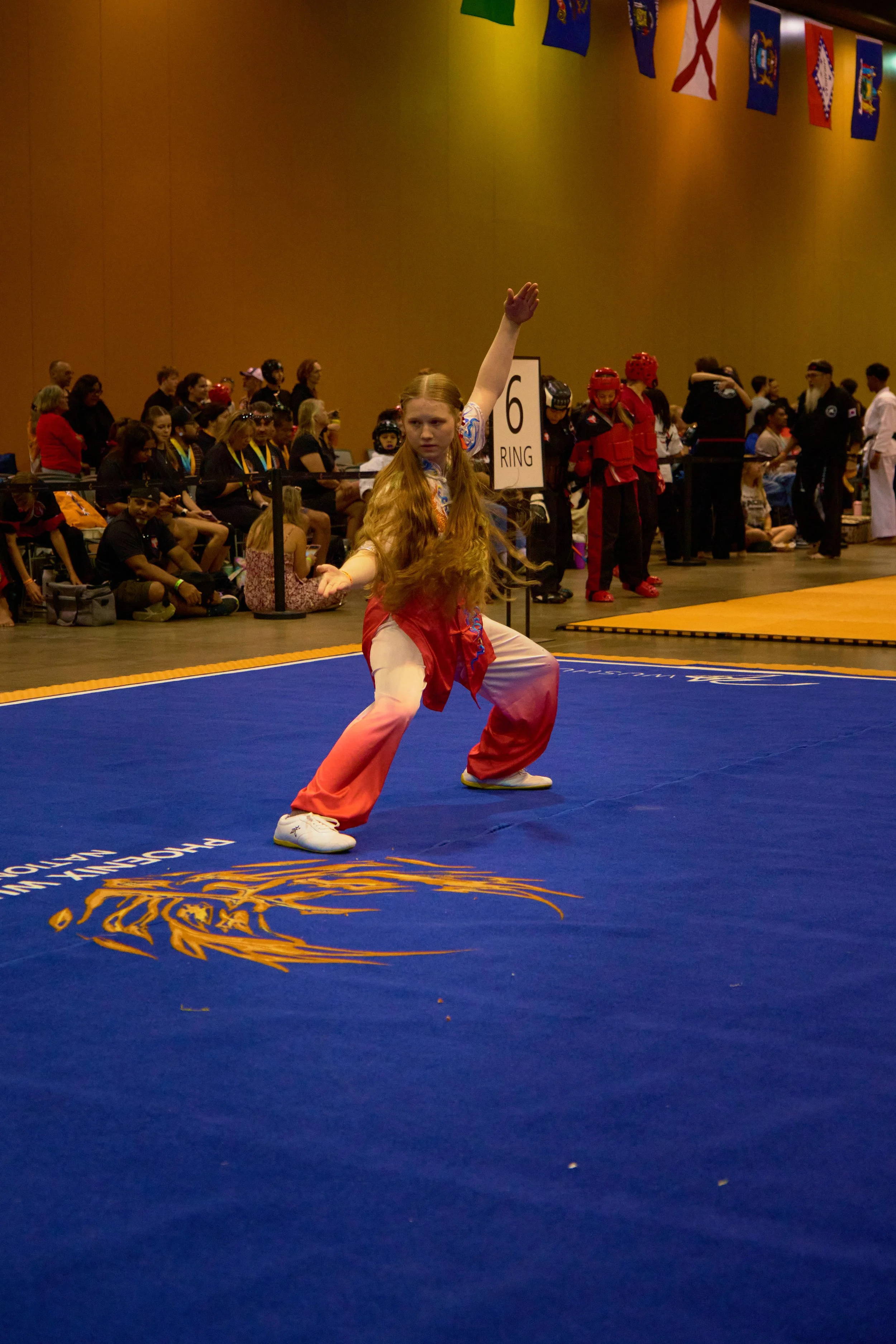 Phoenix Wushu NationalsDSCF1966.jpg
