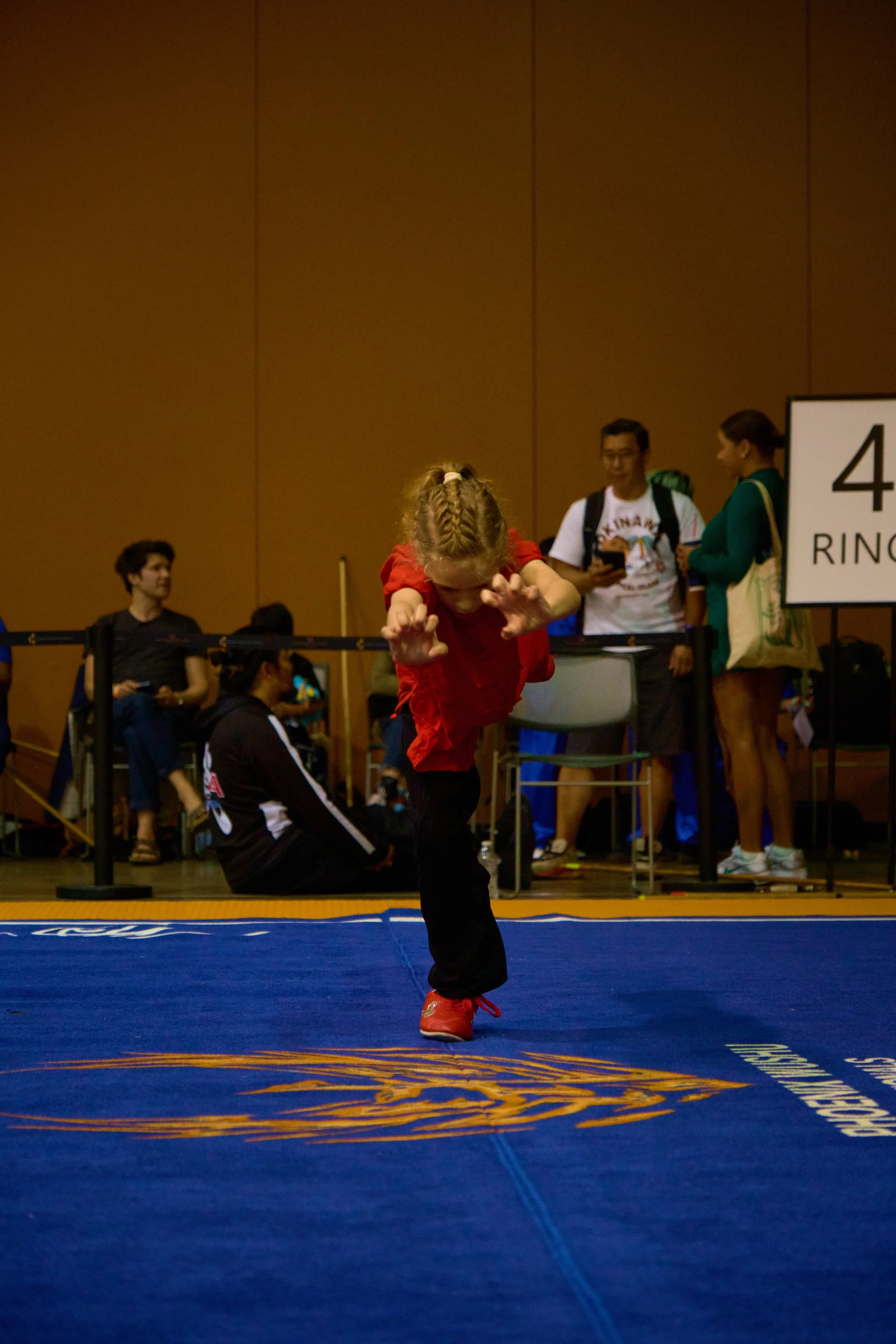 Phoenix Wushu NationalsDSCF0981.jpg