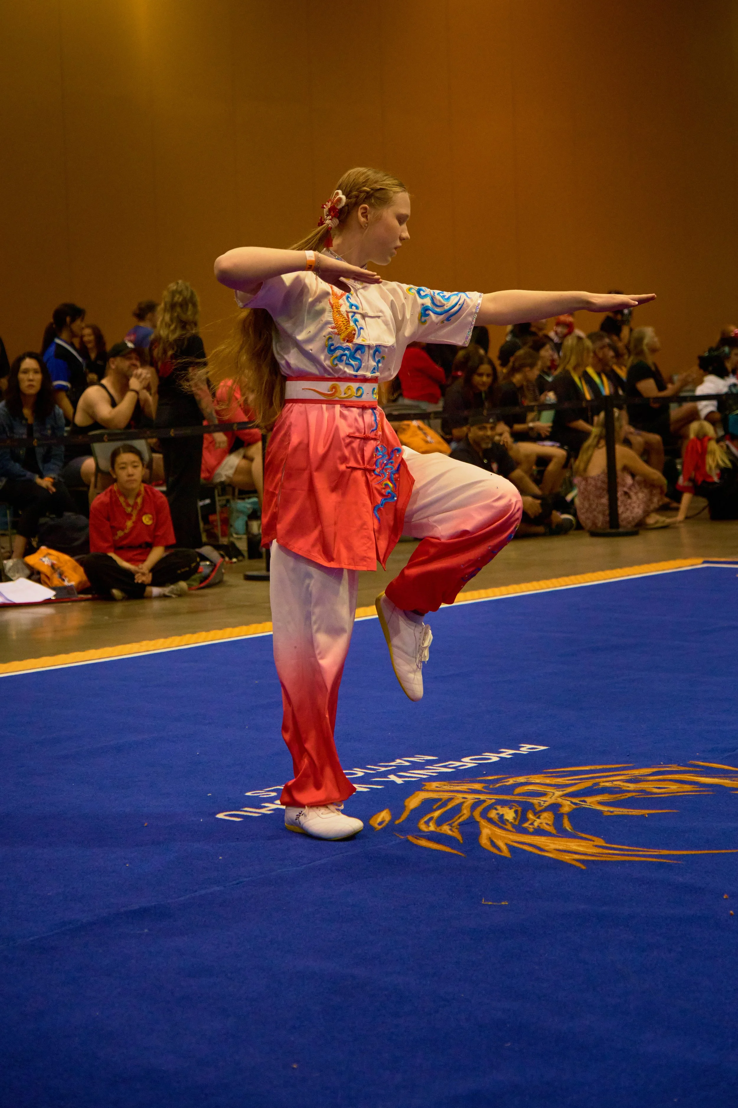 Phoenix Wushu NationalsDSCF1837.jpg