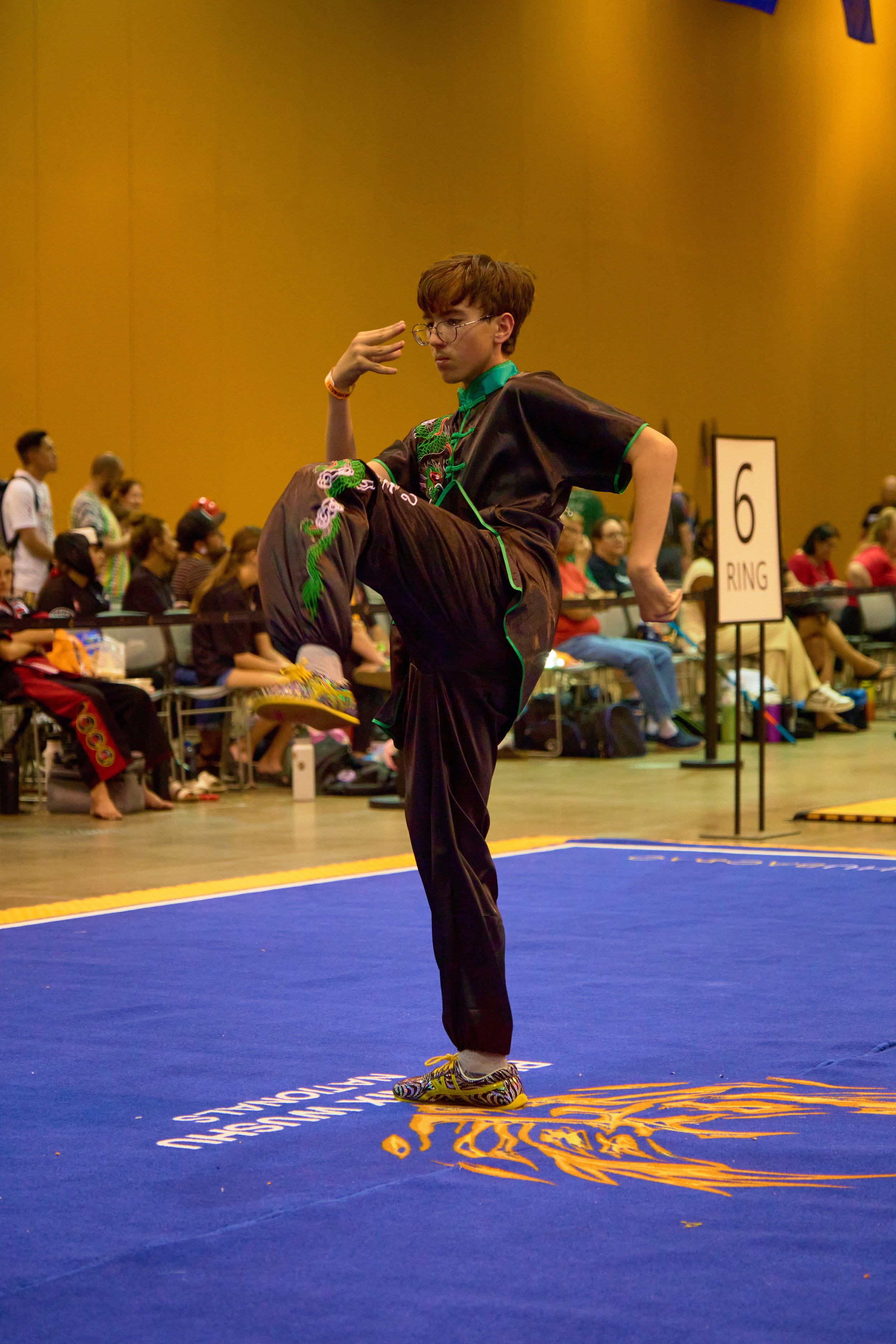 Phoenix Wushu NationalsDSCF2608.jpg