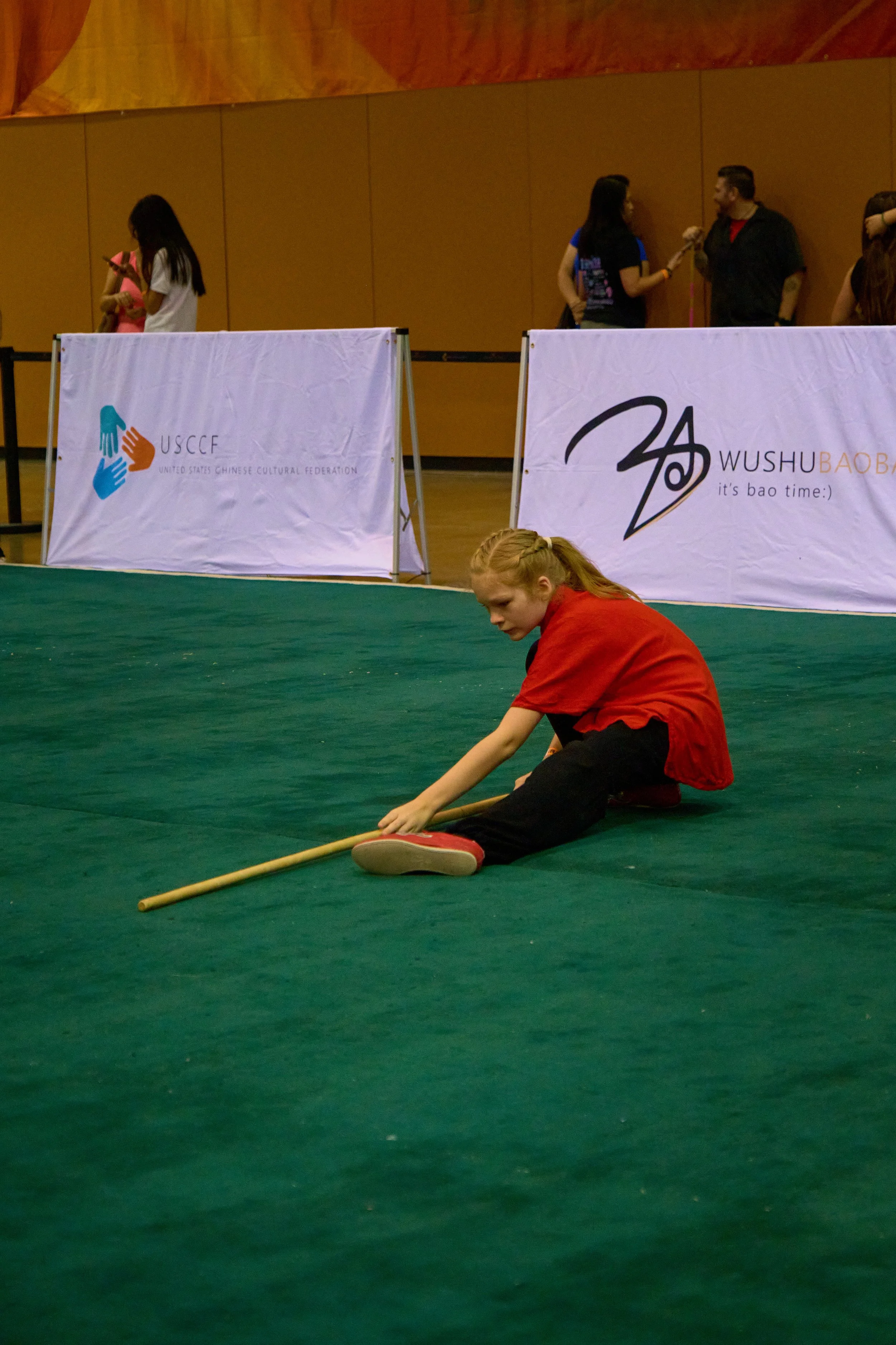 Phoenix Wushu NationalsDSCF1186.jpg