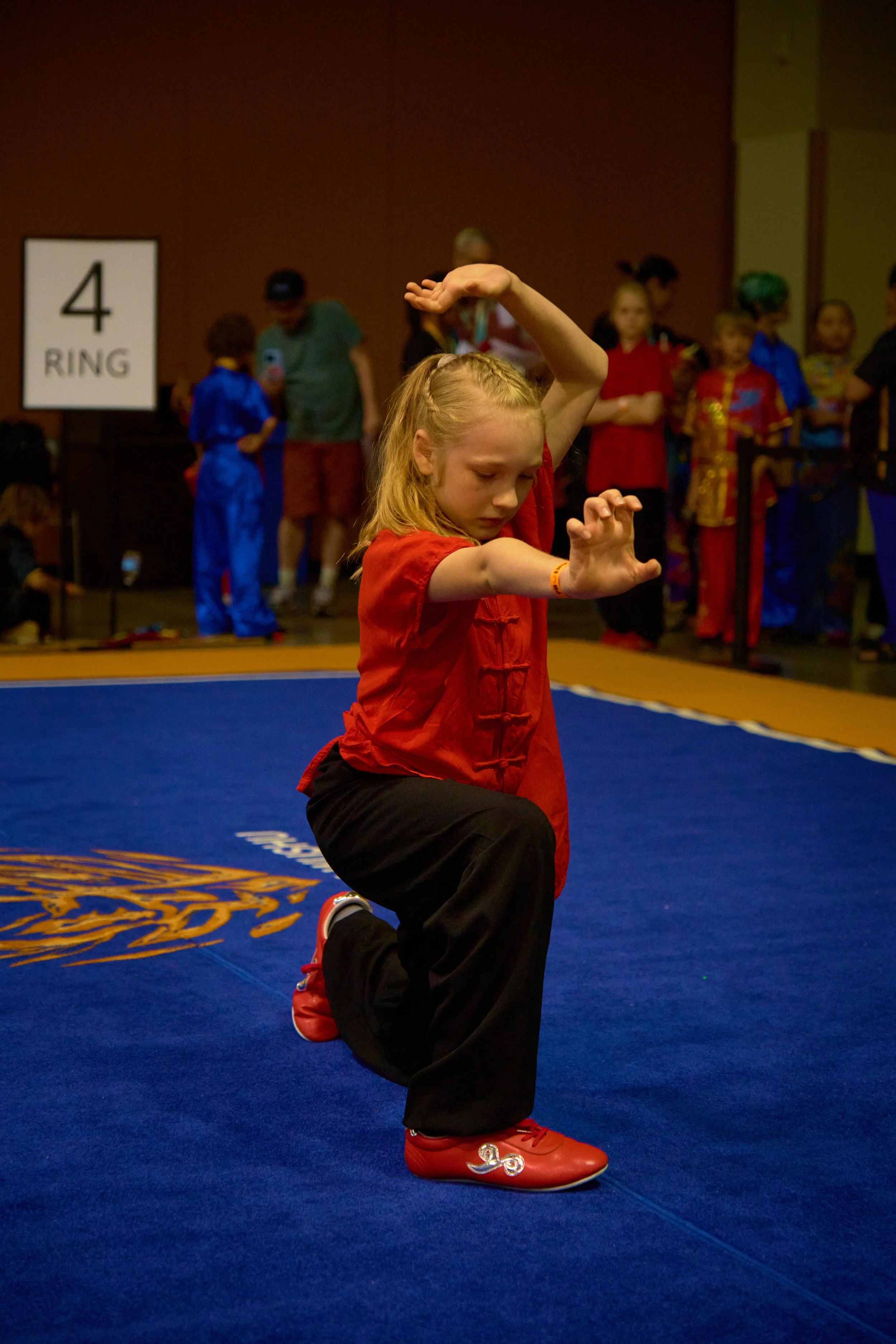 Phoenix Wushu NationalsDSCF1535.jpg