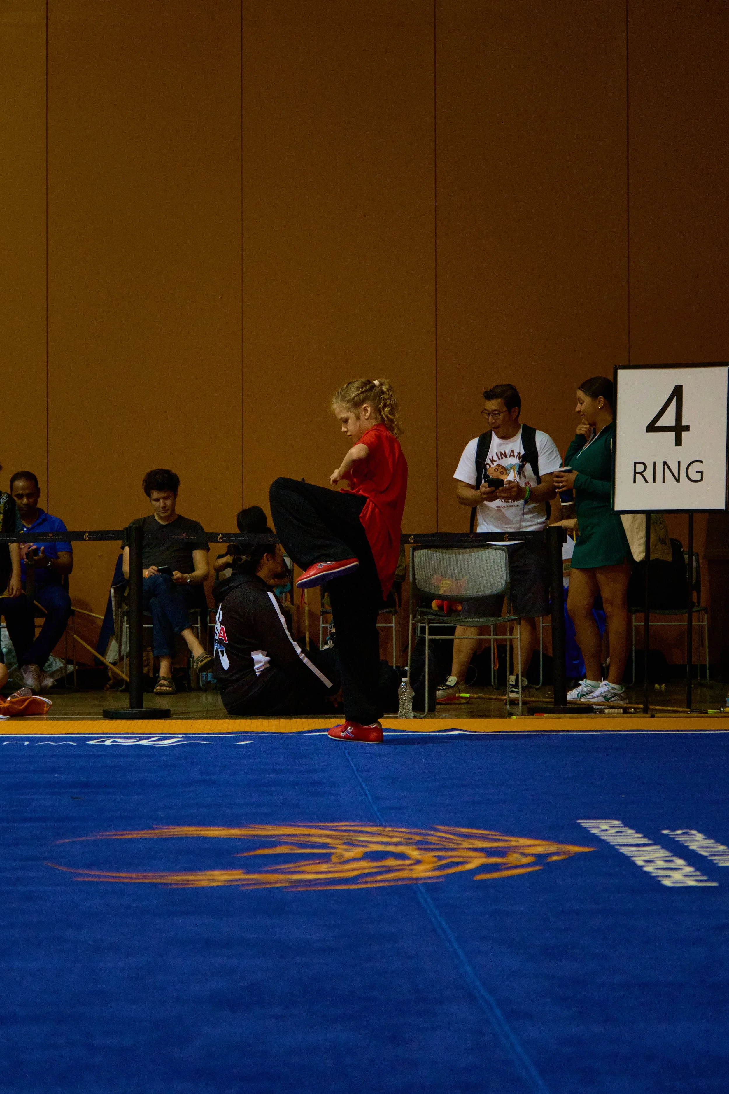 Phoenix Wushu NationalsDSCF0947.jpg