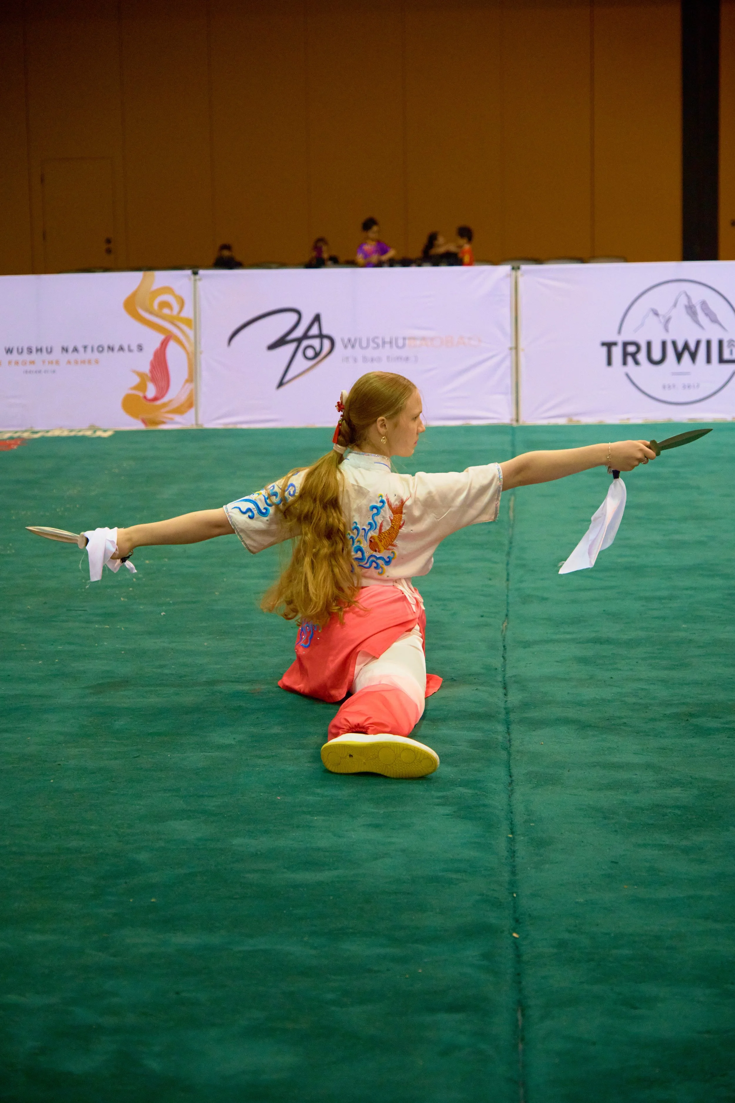 Phoenix Wushu NationalsDSCF5563.jpg