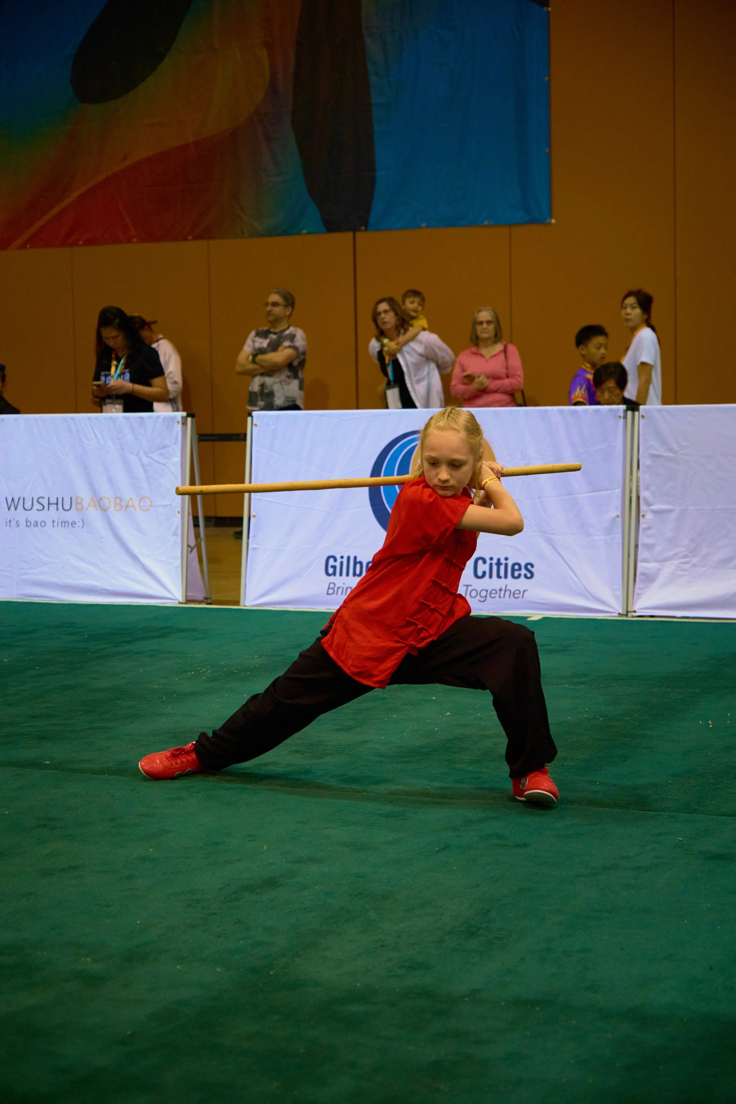 Phoenix Wushu NationalsDSCF1269.jpg
