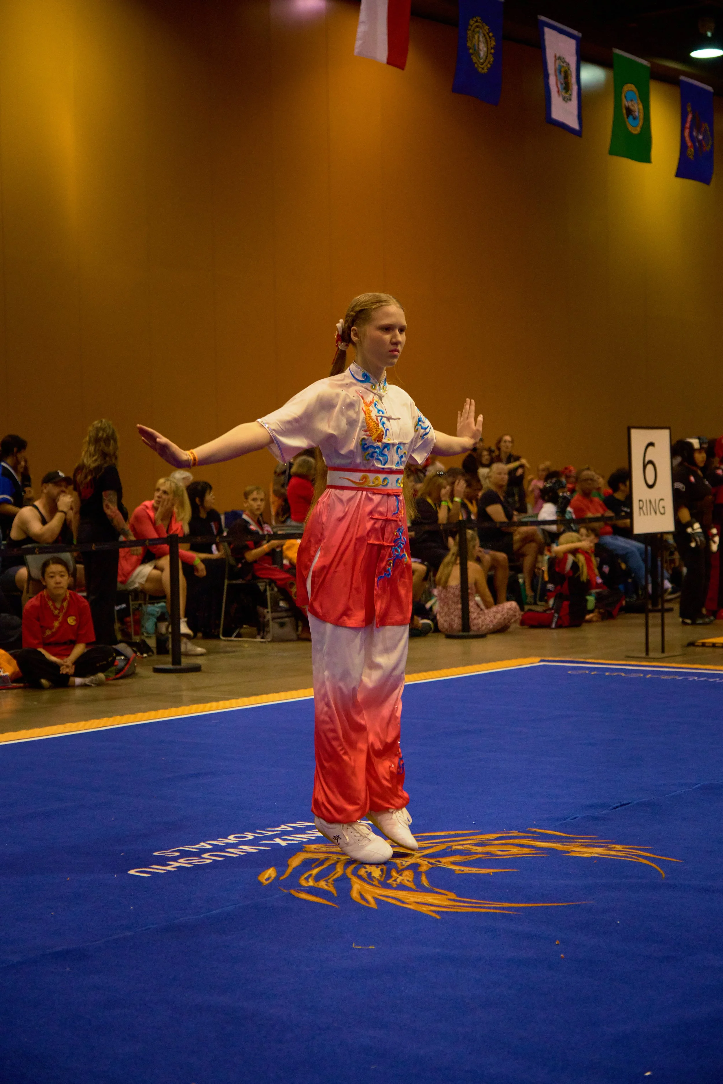 Phoenix Wushu NationalsDSCF1813.jpg