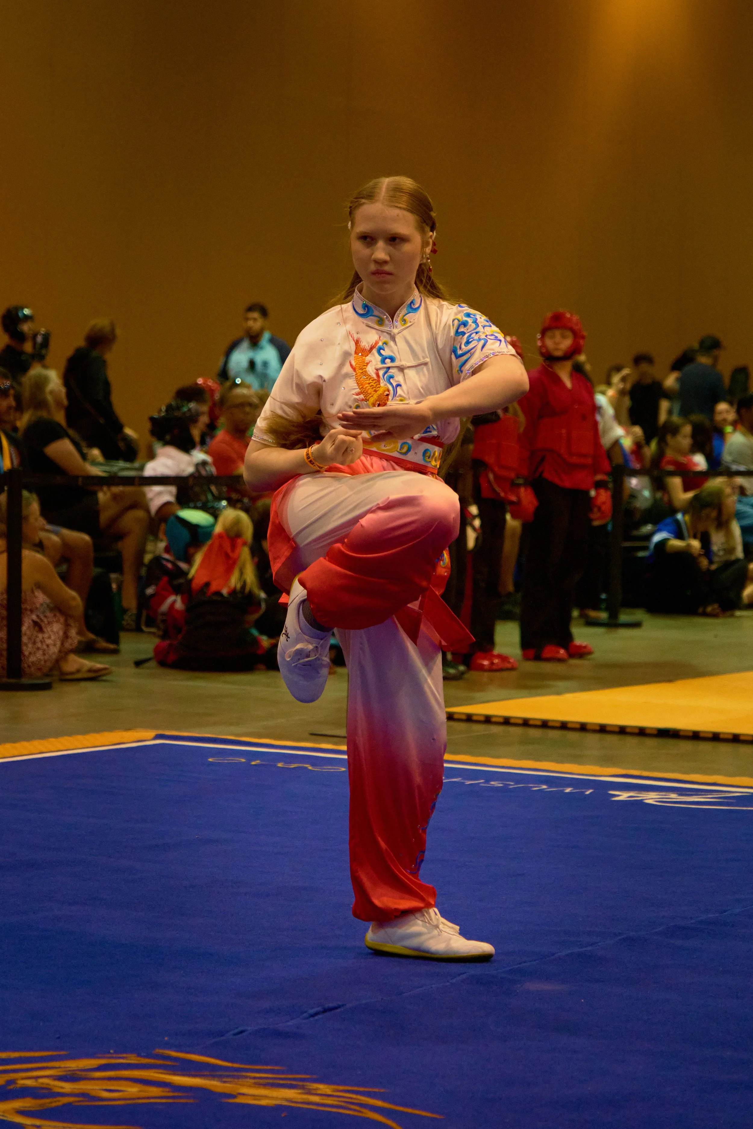 Phoenix Wushu NationalsDSCF1851.jpg