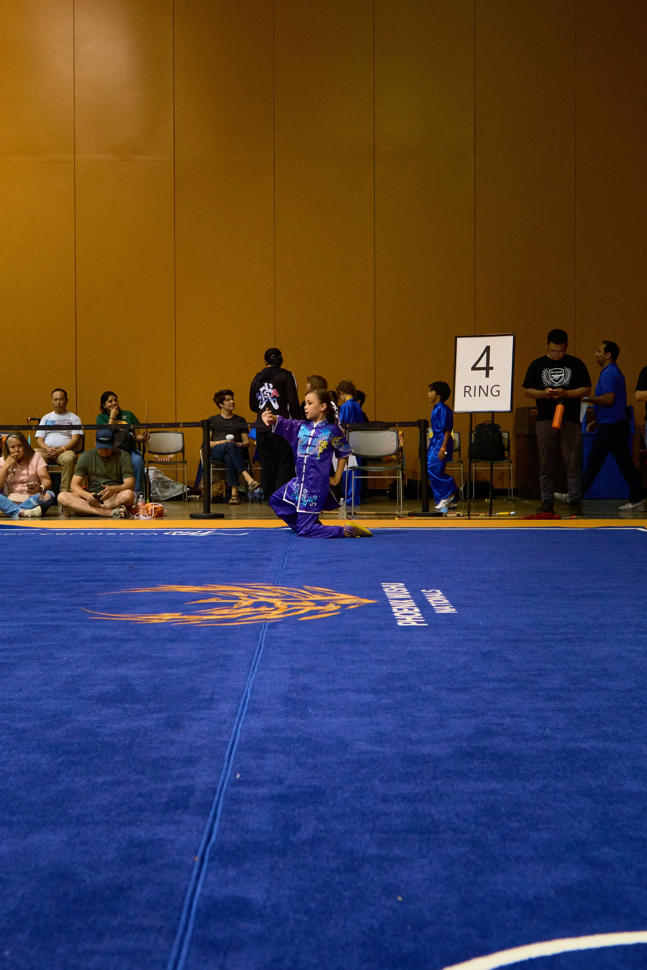 Phoenix Wushu NationalsDSCF0799.jpg