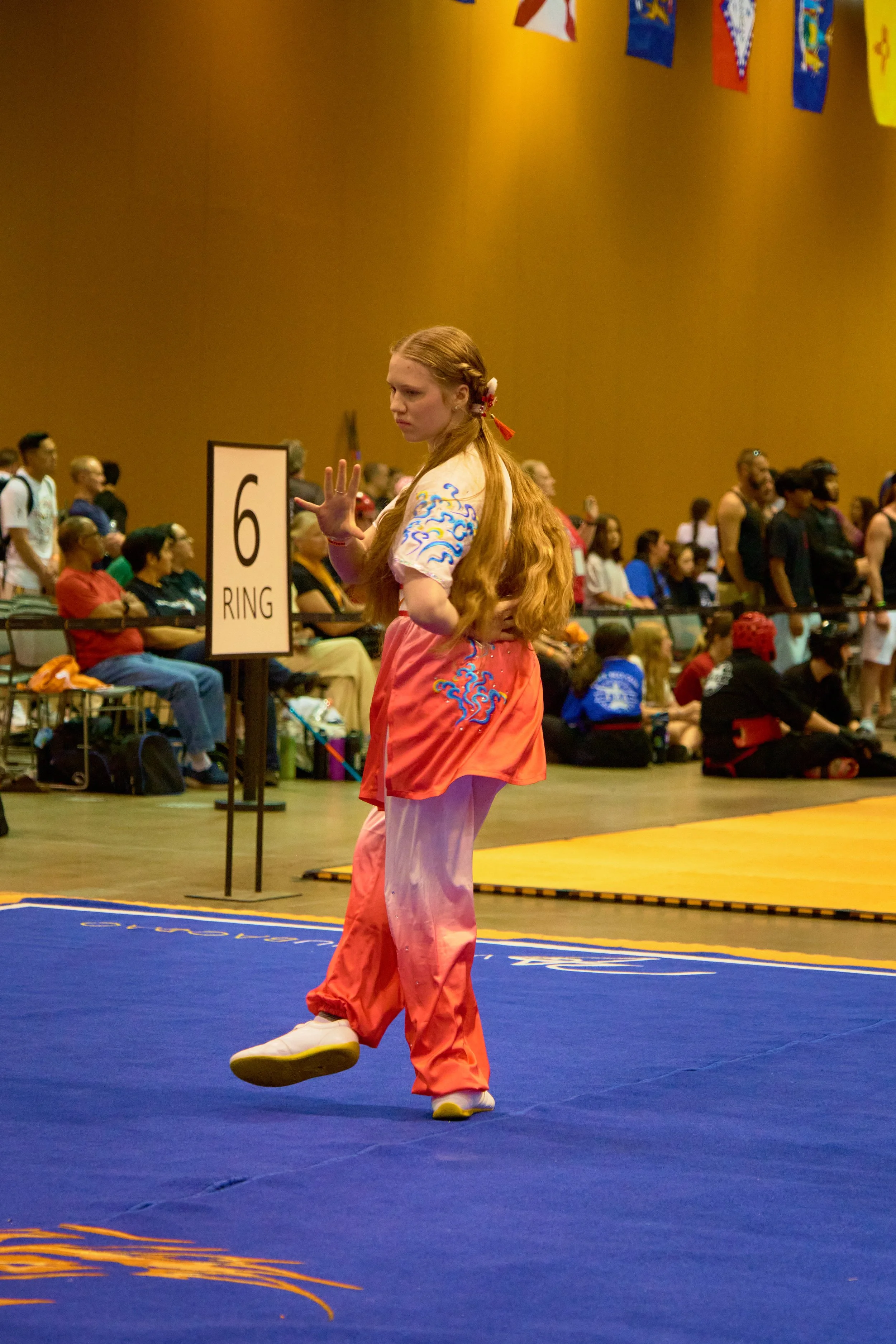 Phoenix Wushu NationalsDSCF2643.jpg