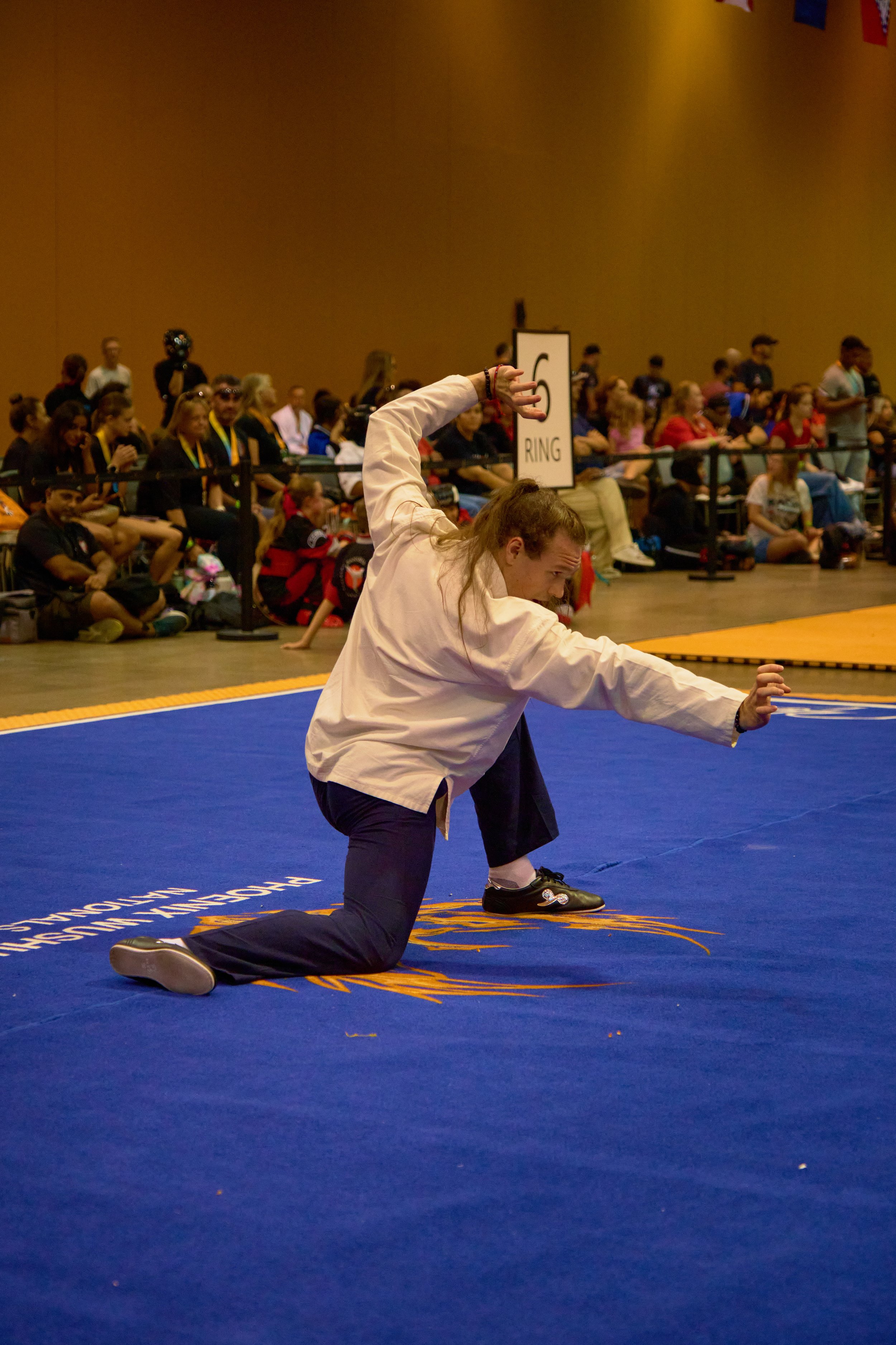 Phoenix Wushu NationalsDSCF2443.jpg