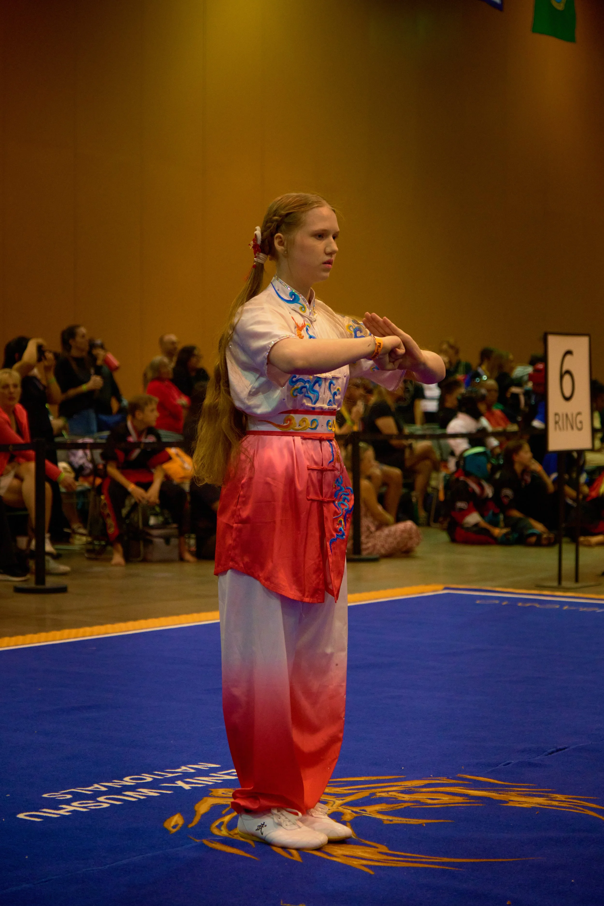 Phoenix Wushu NationalsDSCF2081.jpg