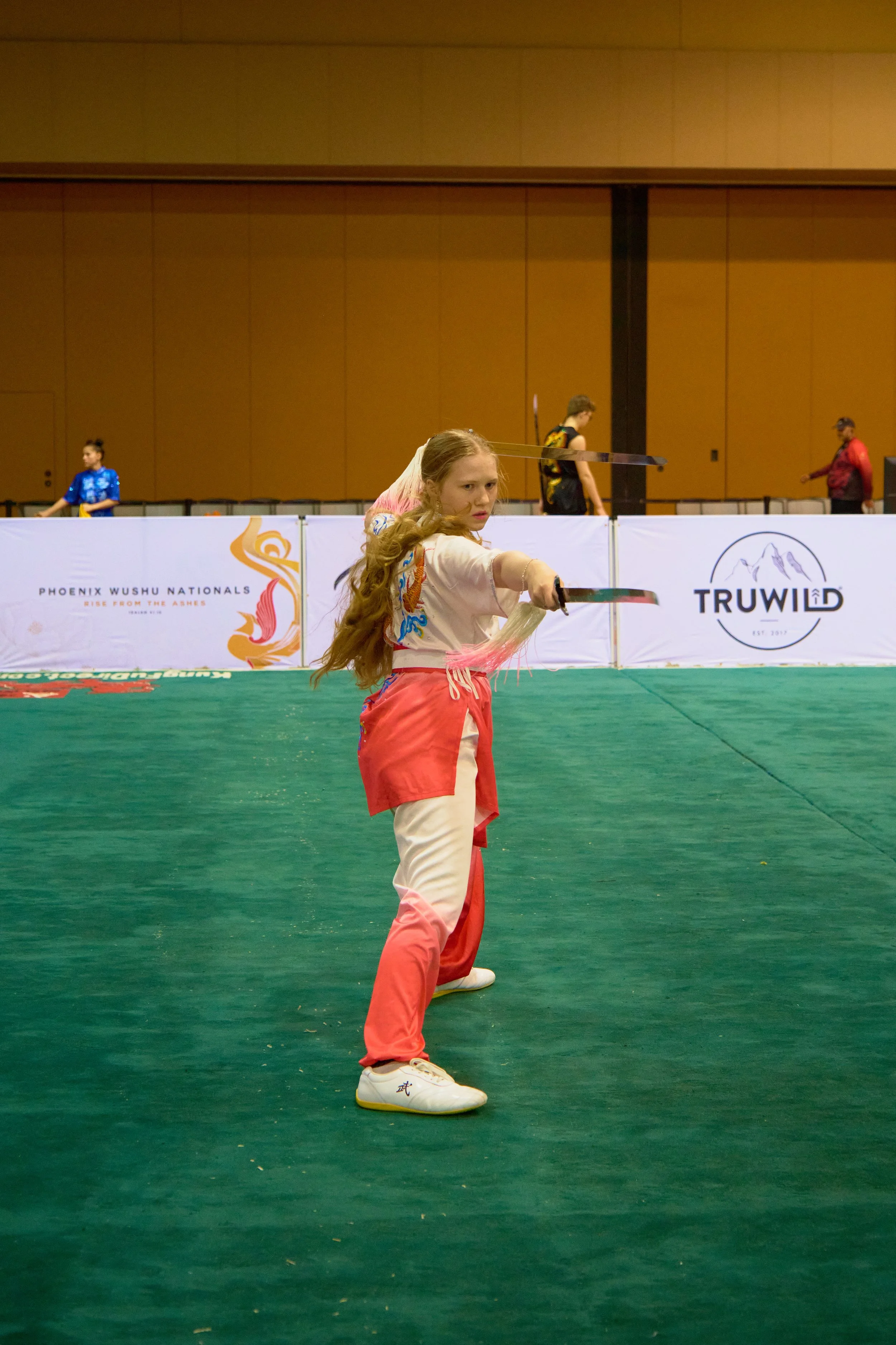 Phoenix Wushu NationalsDSCF4684.jpg