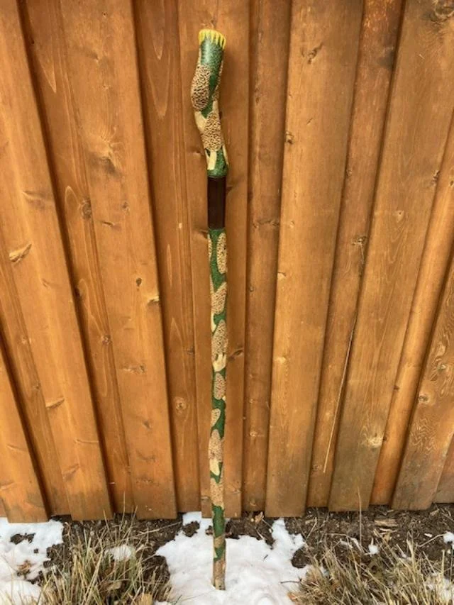Hiking stick