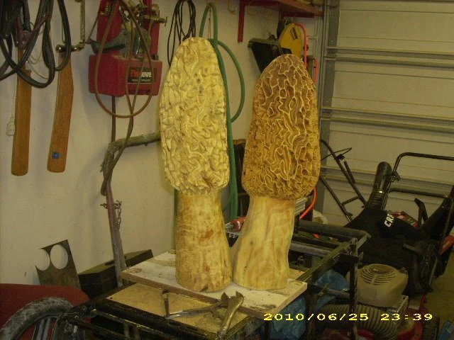 Large carved morel mushrooms