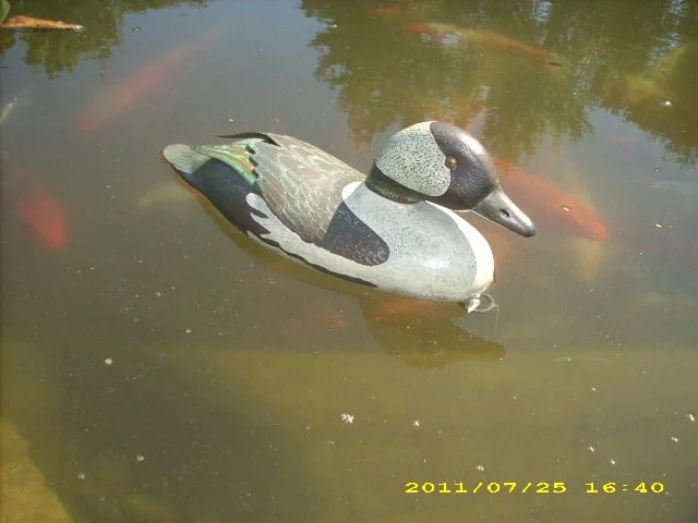 Bufflehead - Hand formed aluminum, copper and bronze sheet metal. Done in the style of Philadelphia decoy carver John Blair Sr. (1843-1929).