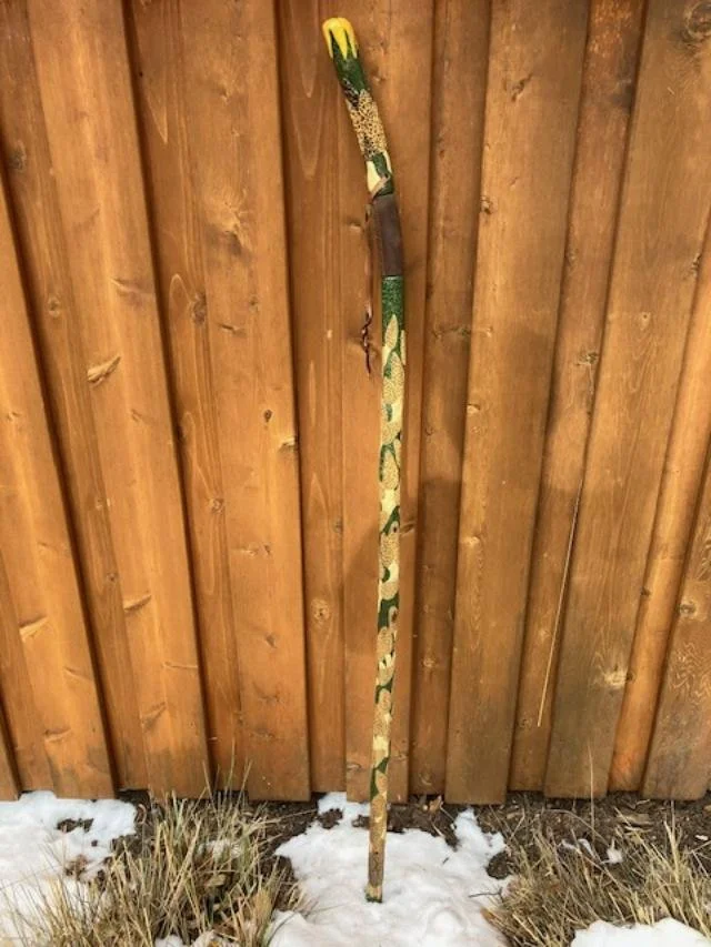 Hiking stick