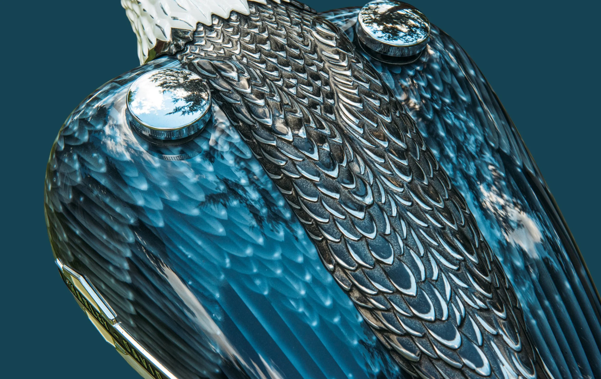 Fat Bob (detail)
