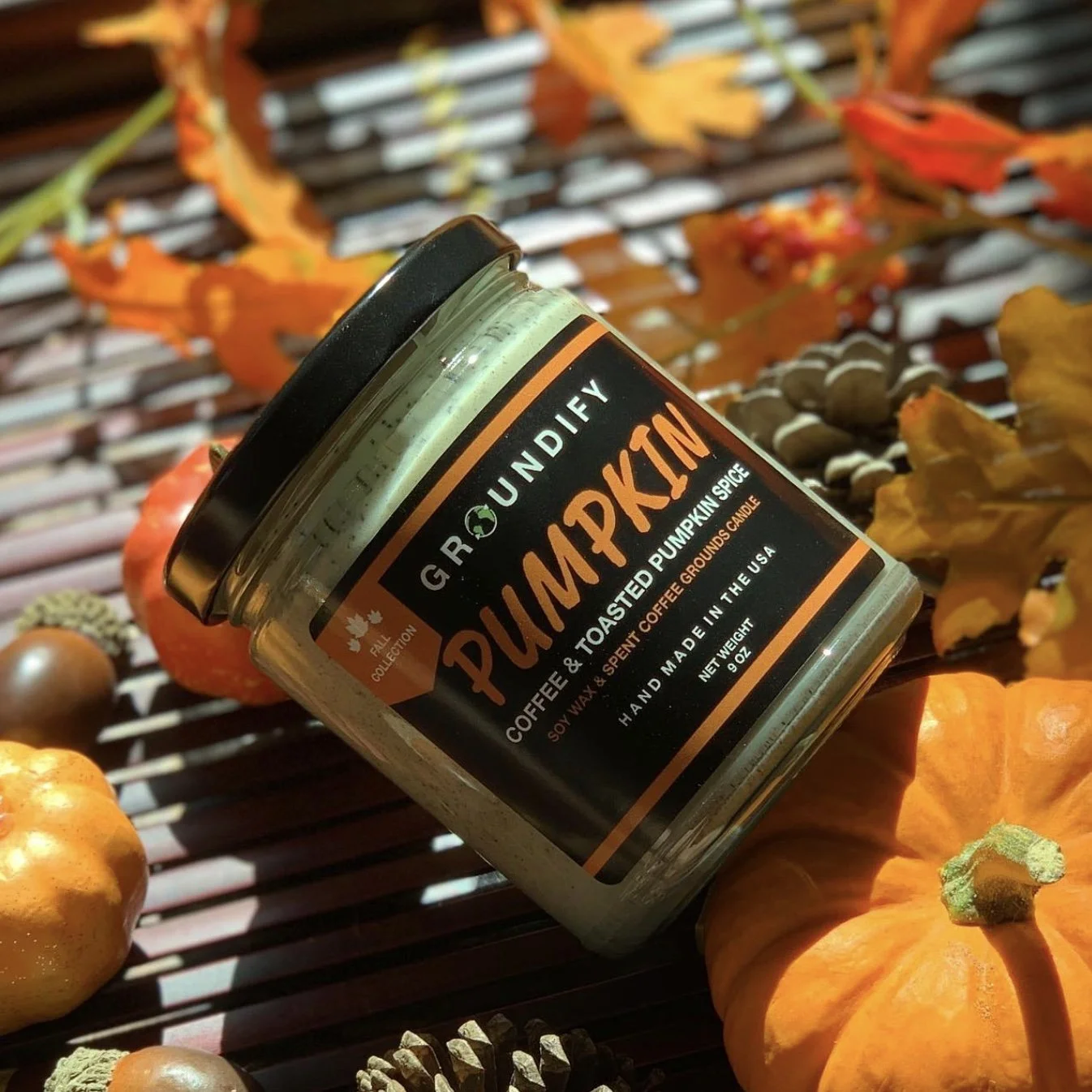 Image 8-19-24 at 5.39 PM.jpeg