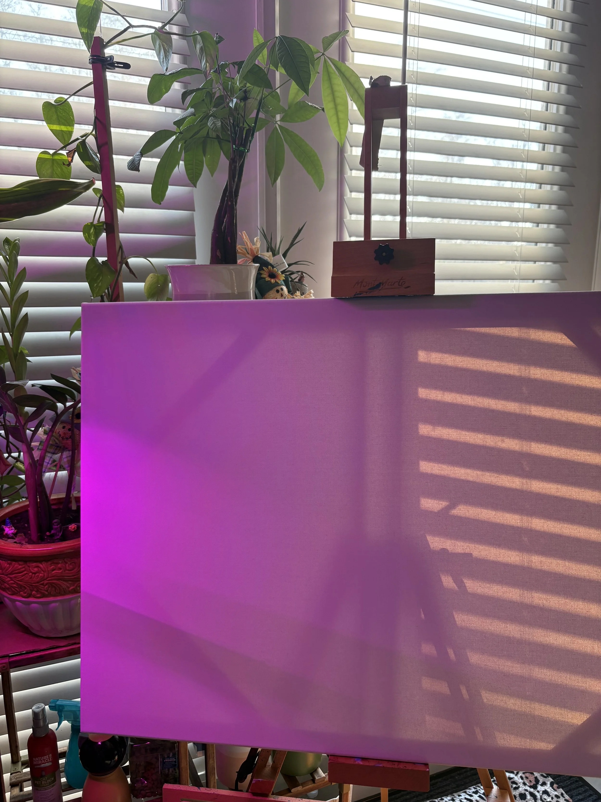 Indoor studio scene with plants and a glowing pink canvas displayed on an easel in a creative workspace.