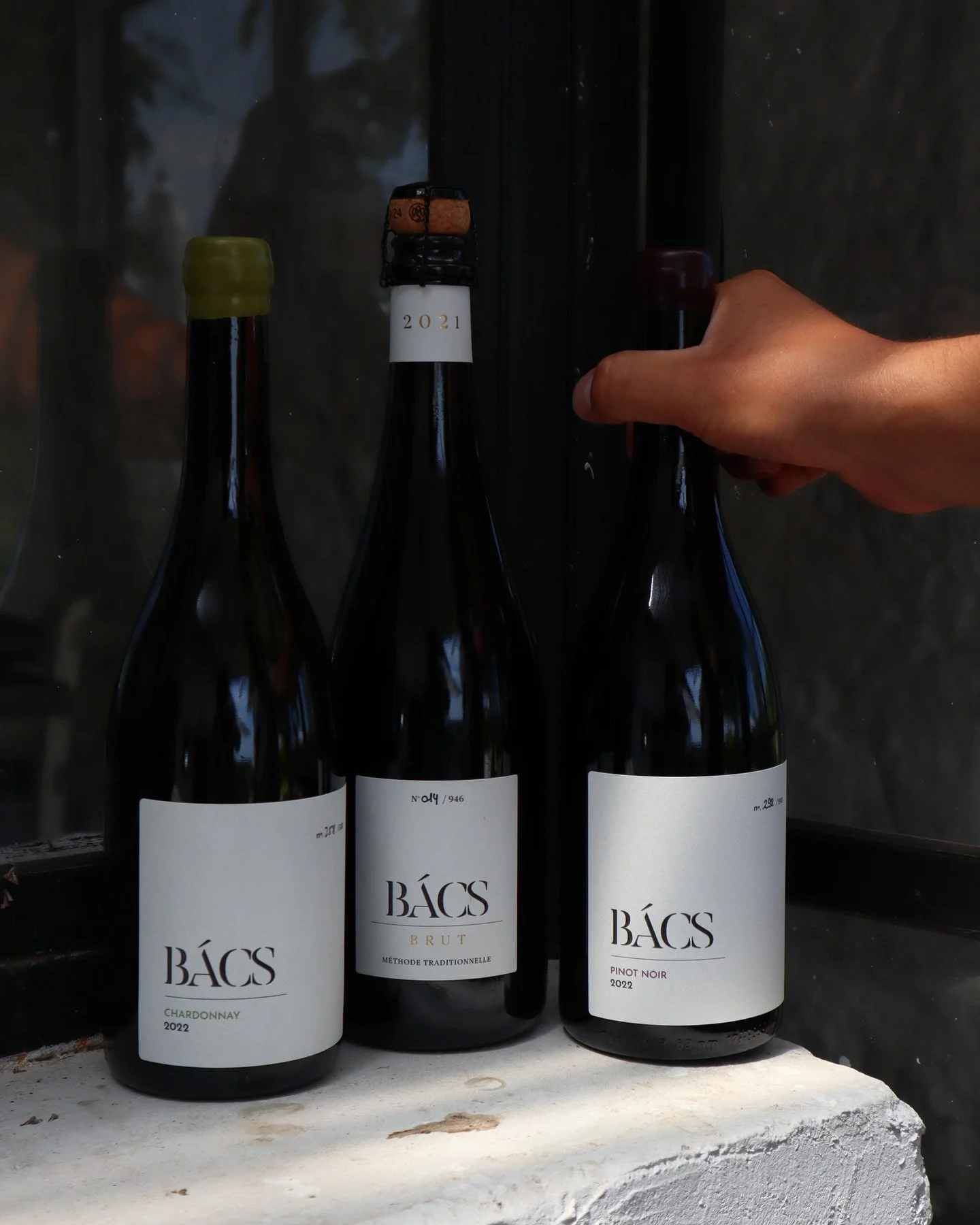 BOROK
&mdash;&mdash;
Chardonnay, Pinot noir &eacute;s pezsgő. Felismerhető, maradand&oacute;, kifinomult. 
&mdash;&mdash;
Chardonnay, Pinot Noir, and sparkling wine. Distinct, lasting, refined.
&mdash;&mdash;
#bacsbirtok #vineyard #hungary #chardonna
