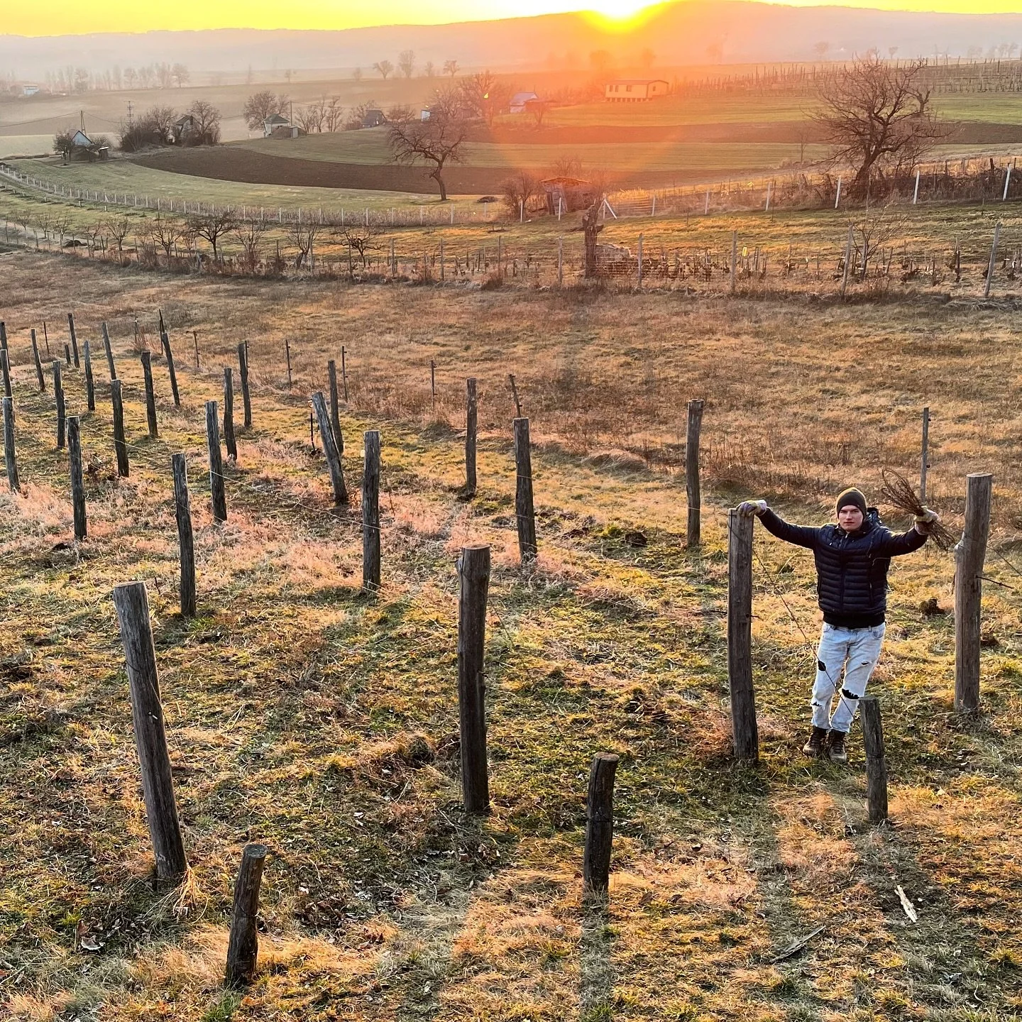 BIRTOK
&mdash;&mdash;
Egy ideje m&aacute;r nagy tervez&eacute;sben &eacute;s munk&aacute;ban vagyunk: 9 sor szőlővel indultunk, ma m&aacute;r f&eacute;l hekt&aacute;rt művel&uuml;nk Chardonnay &eacute;s Pinot noir fajt&aacute;kkal.
&mdash;&mdash;
We 