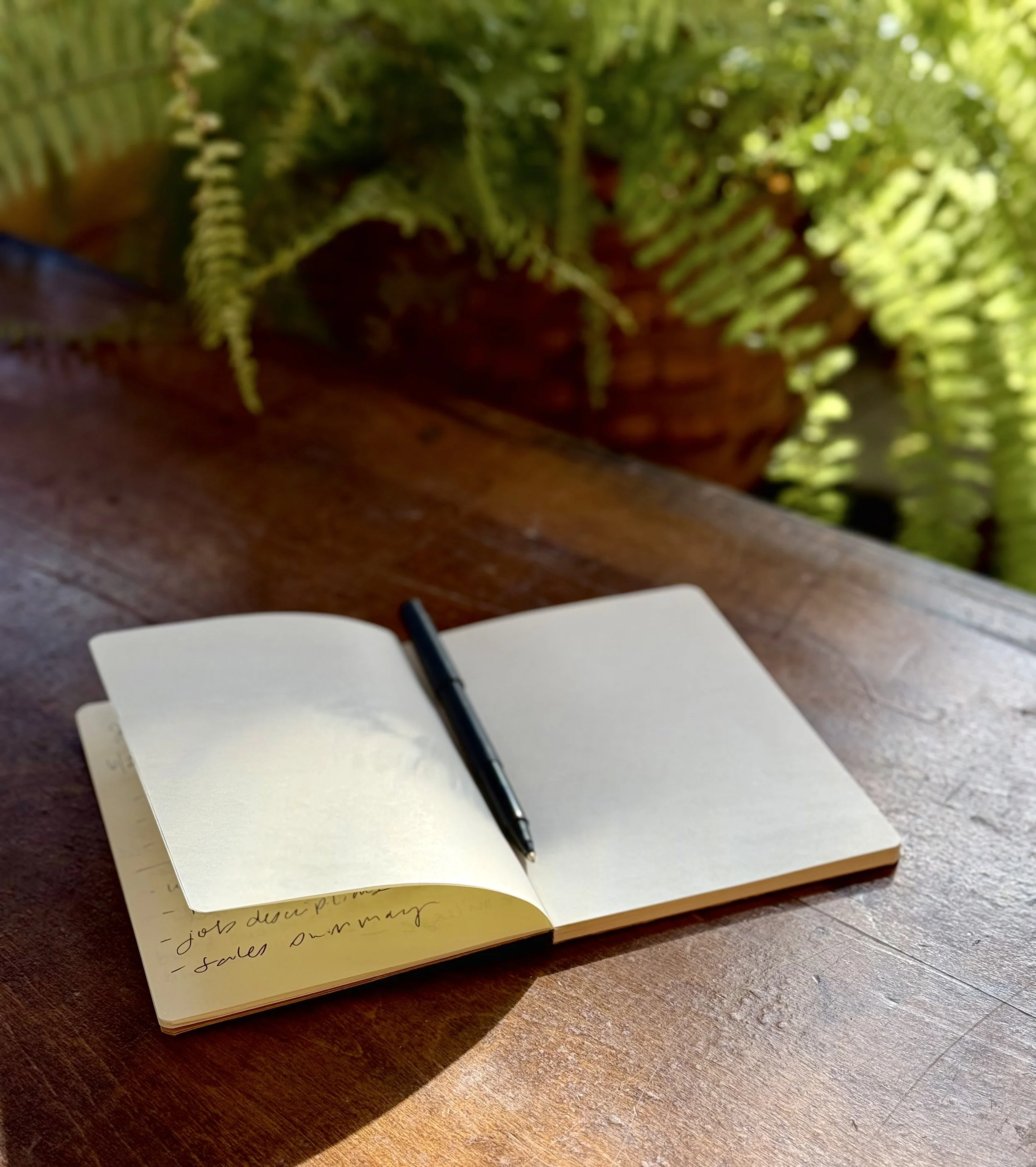 Open notebook with a black pen on a wooden table, with green plants in a pot in the background.