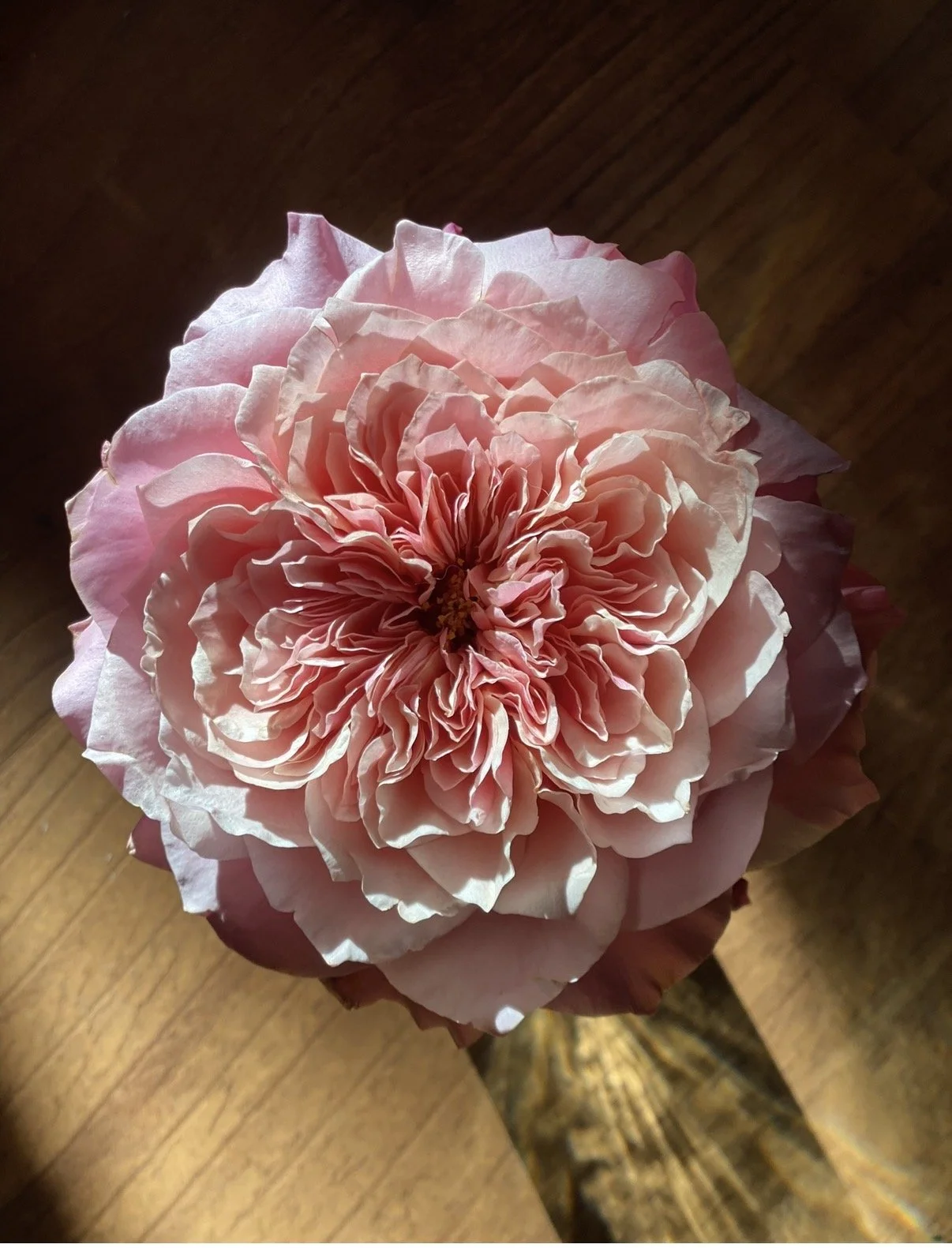 Where Is the Love? Handling Hard Customer Moments