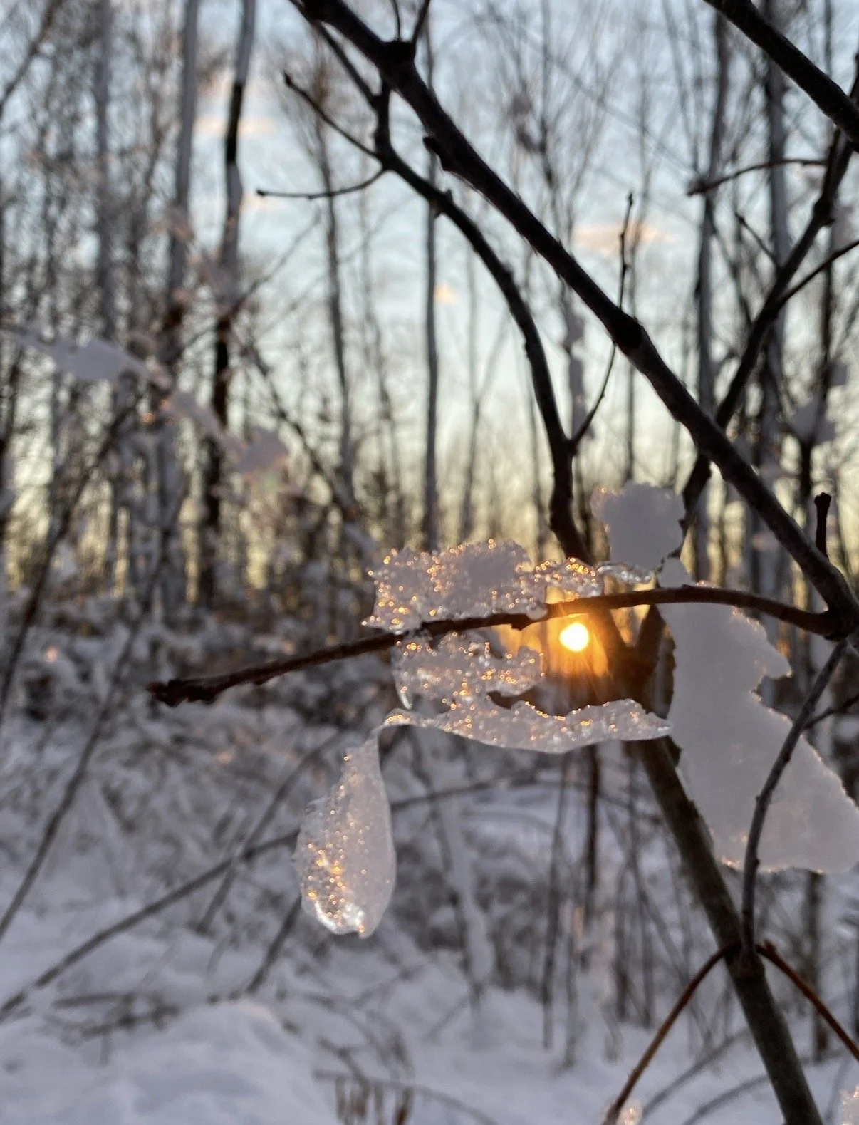 The Weight and the Light: Closing 2025 with Clarity