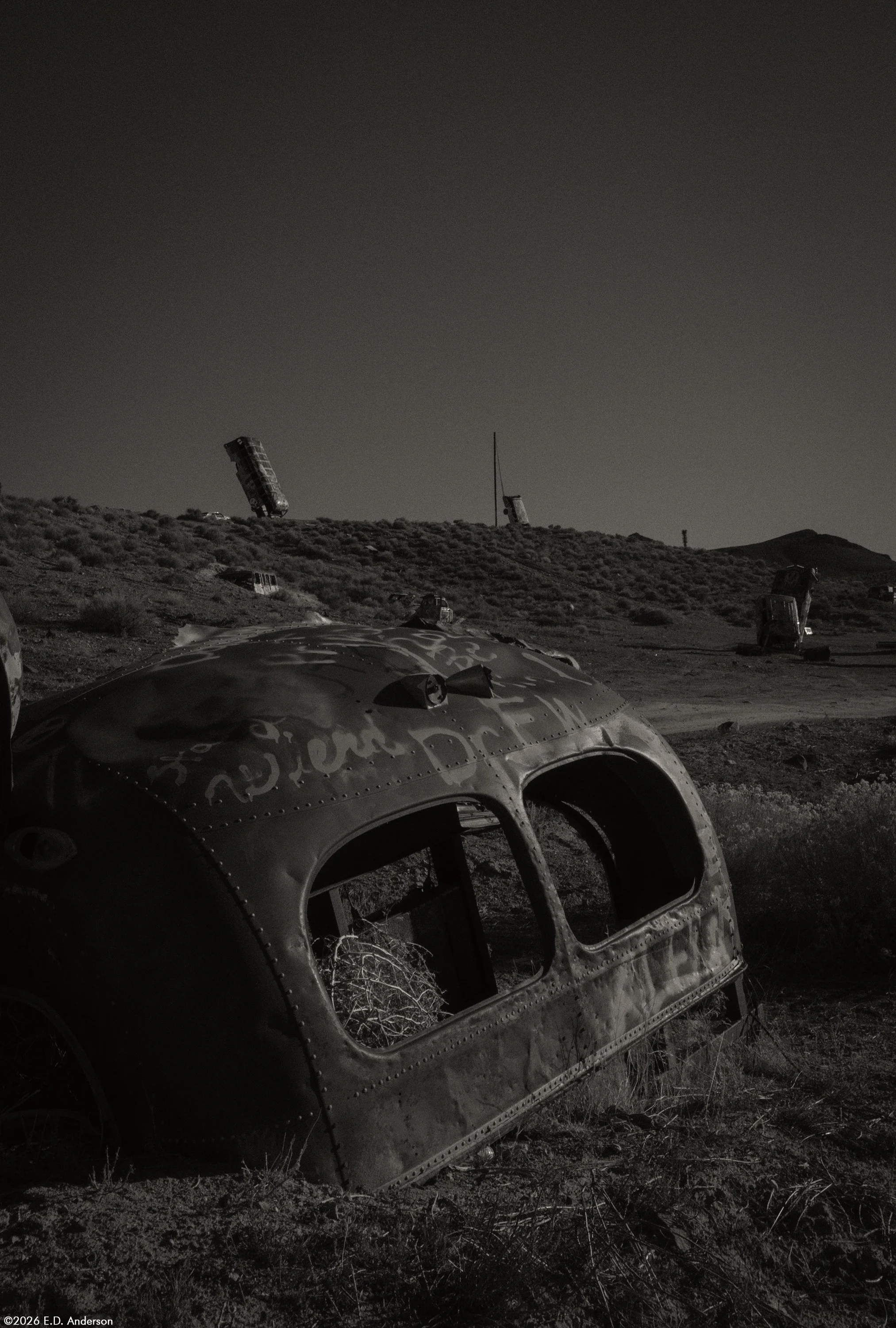The International Car Forest