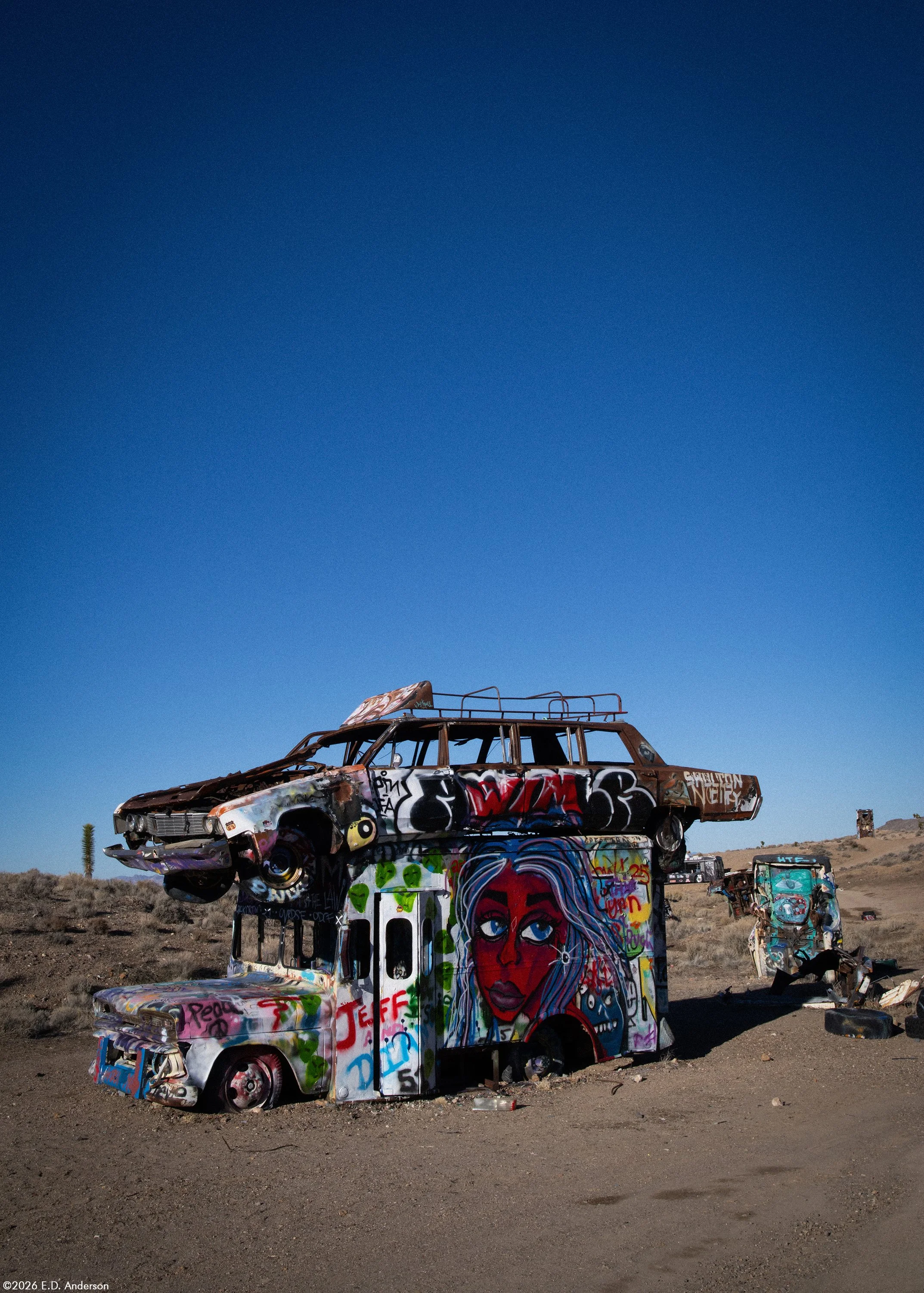 The International Car Forest