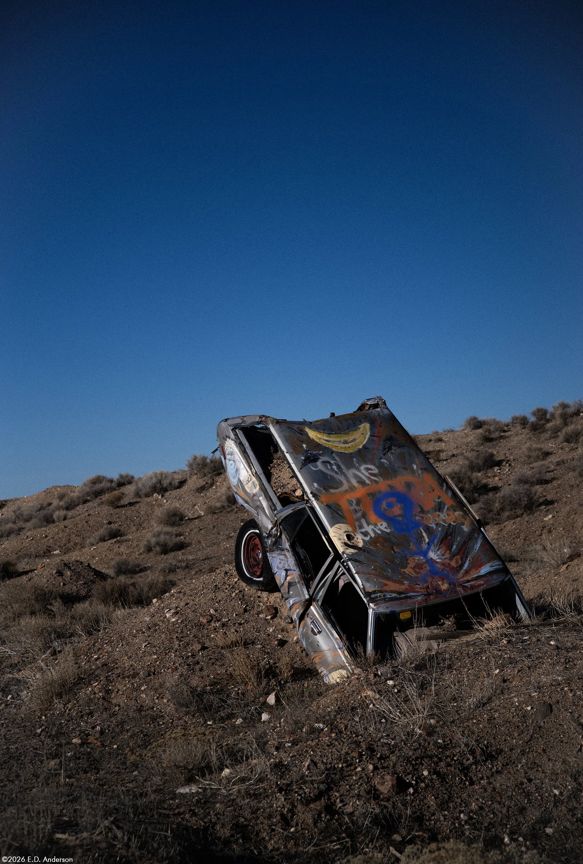 The International Car Forest