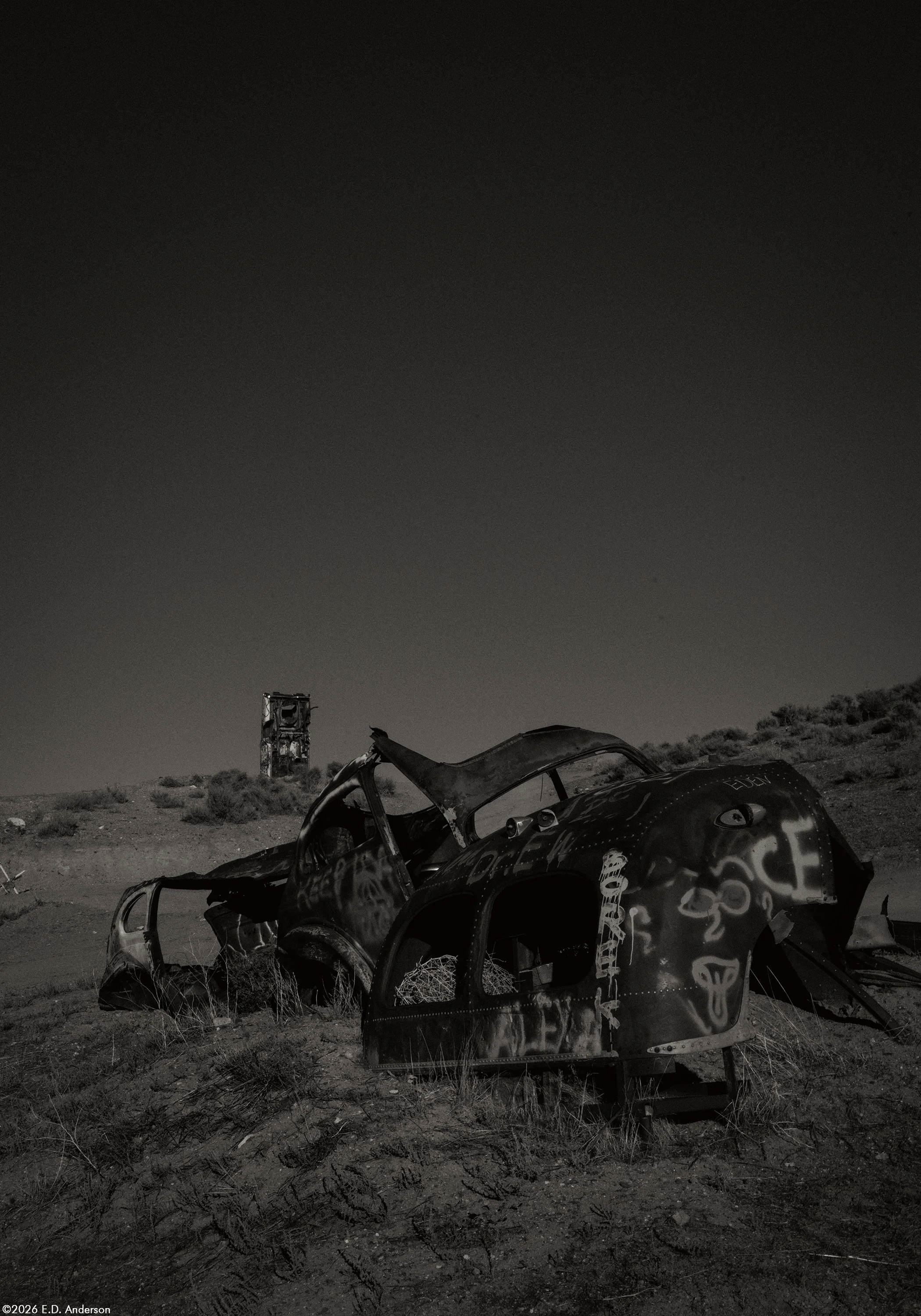 The International Car Forest